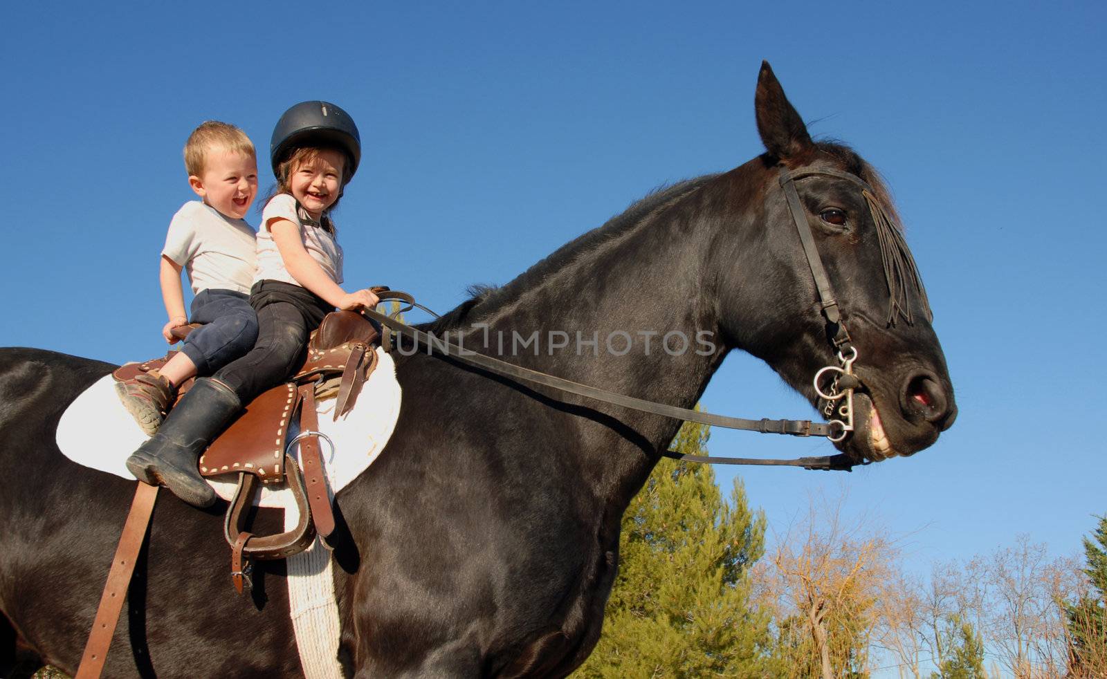 two happy children on their black stallion

