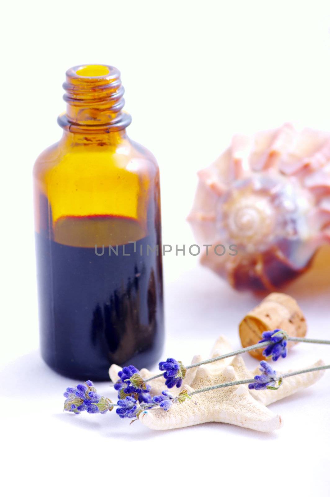 Herbal medicine with herbs and marine animals . Isolated white b by dolnikow