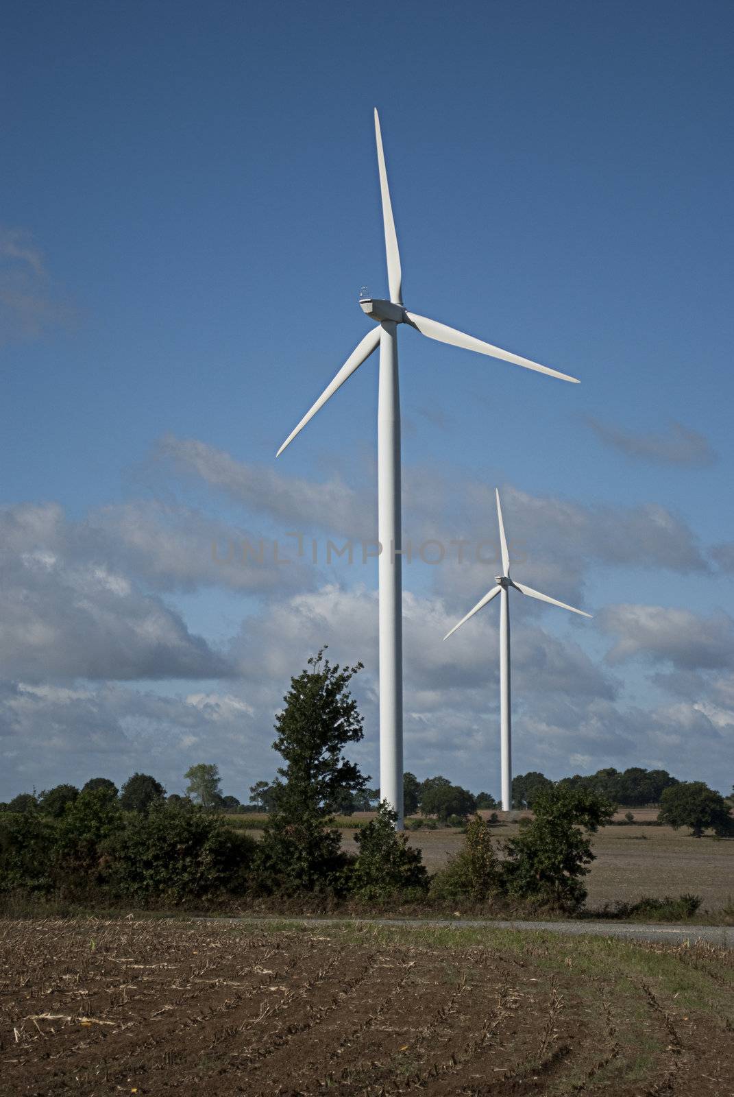 wind turbine and field 2 by zebra31