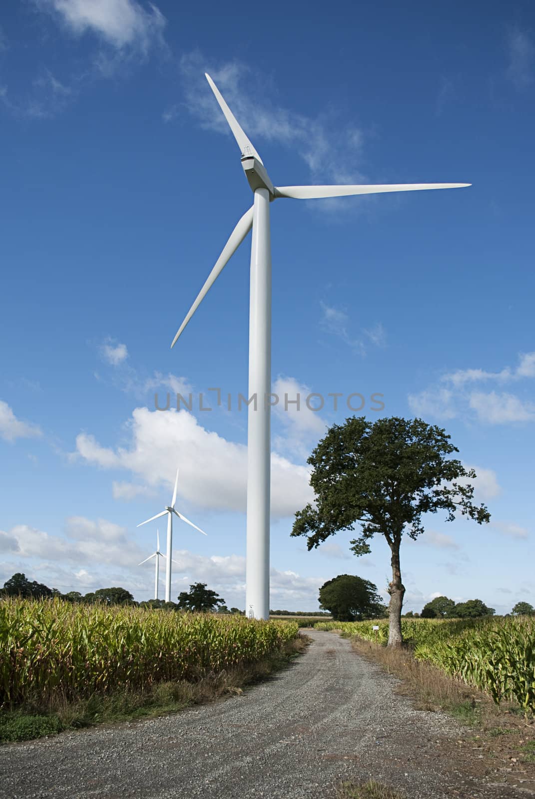 Wind turbine on country road by zebra31