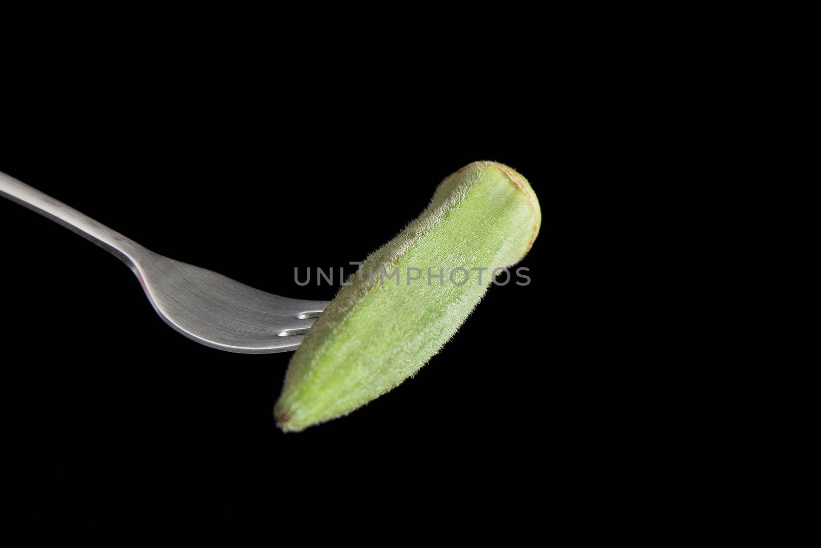 Okra on Fork II by charlotteLake