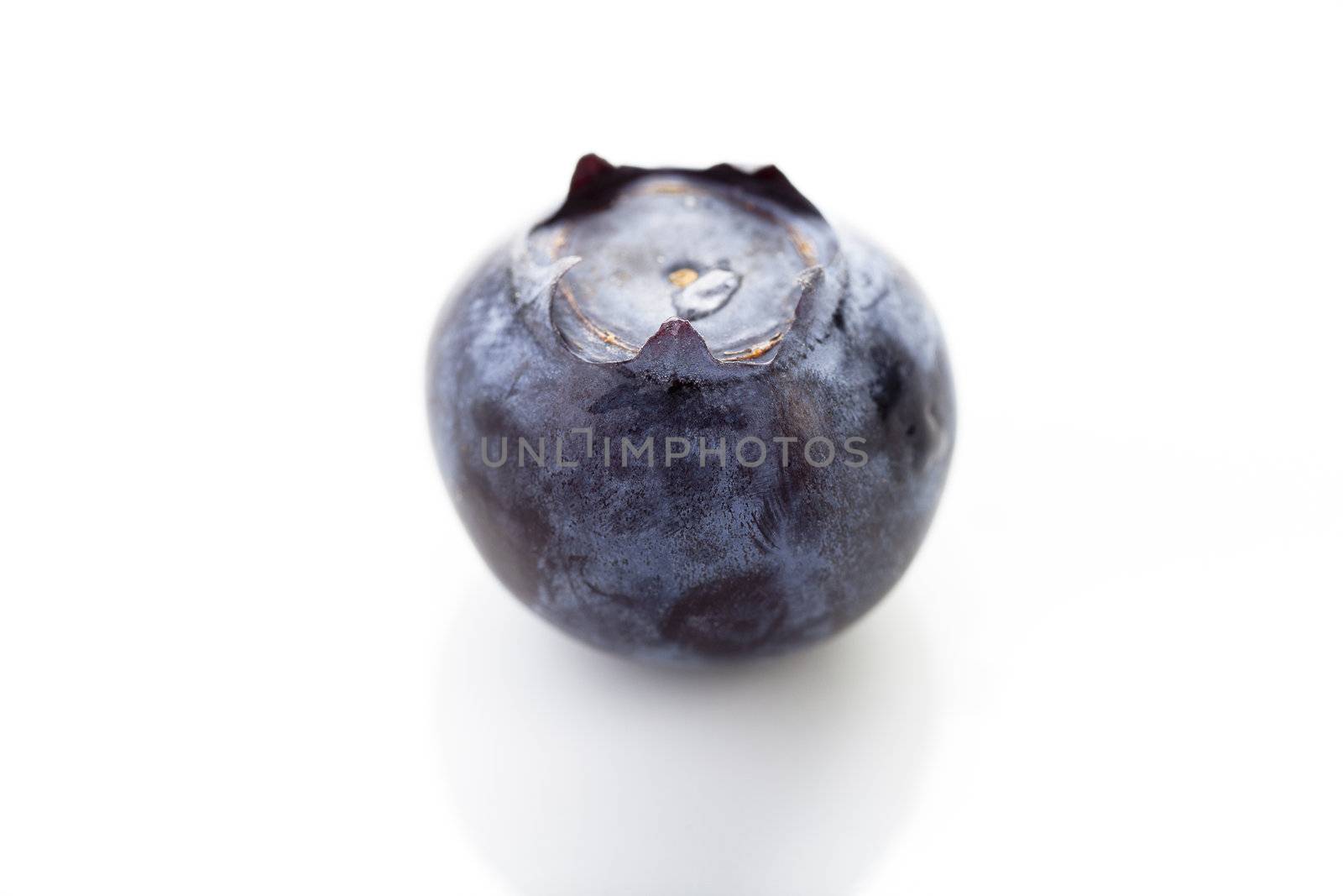 Isolated Blueberry by charlotteLake