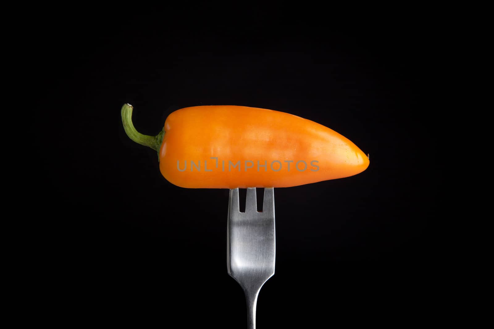 Sweet orange pepper on fork with black background.