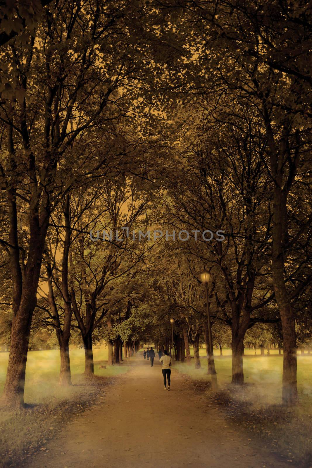 People walking in an alley of trees, autumn