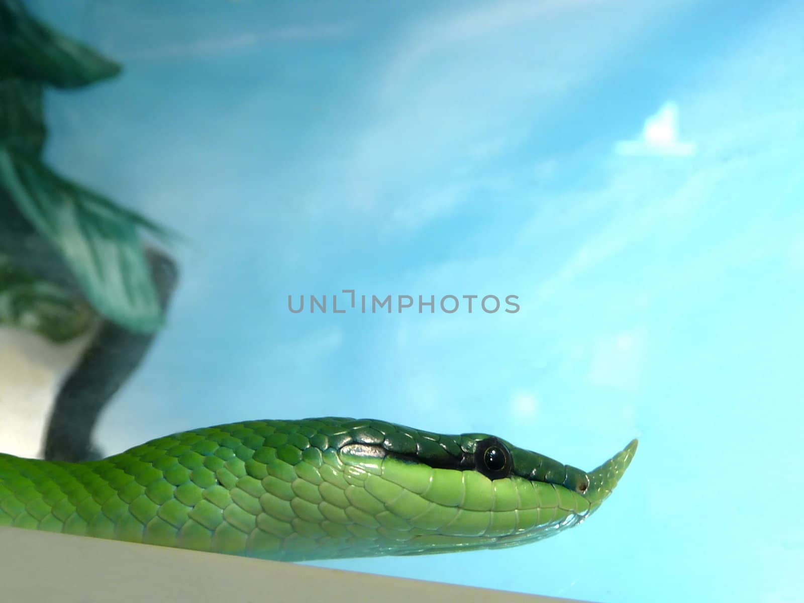 Green snake with cute horn on a blue background
