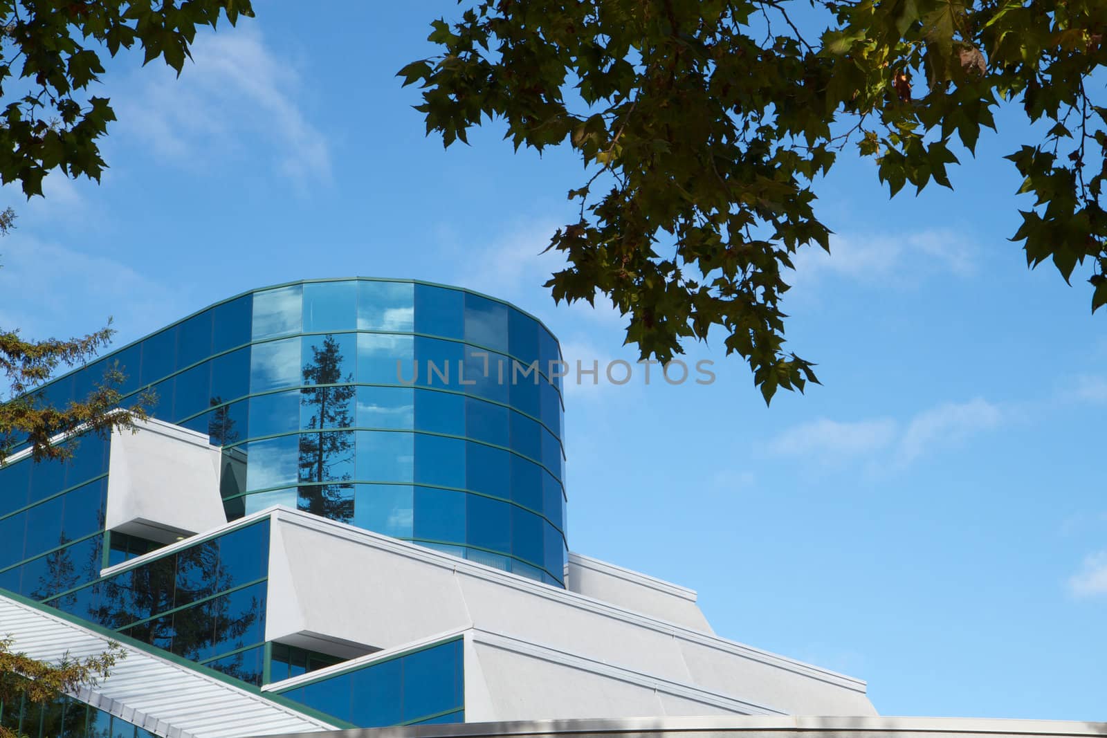 Cylindrical and flat glass building surfaces reflect trees and blue sky