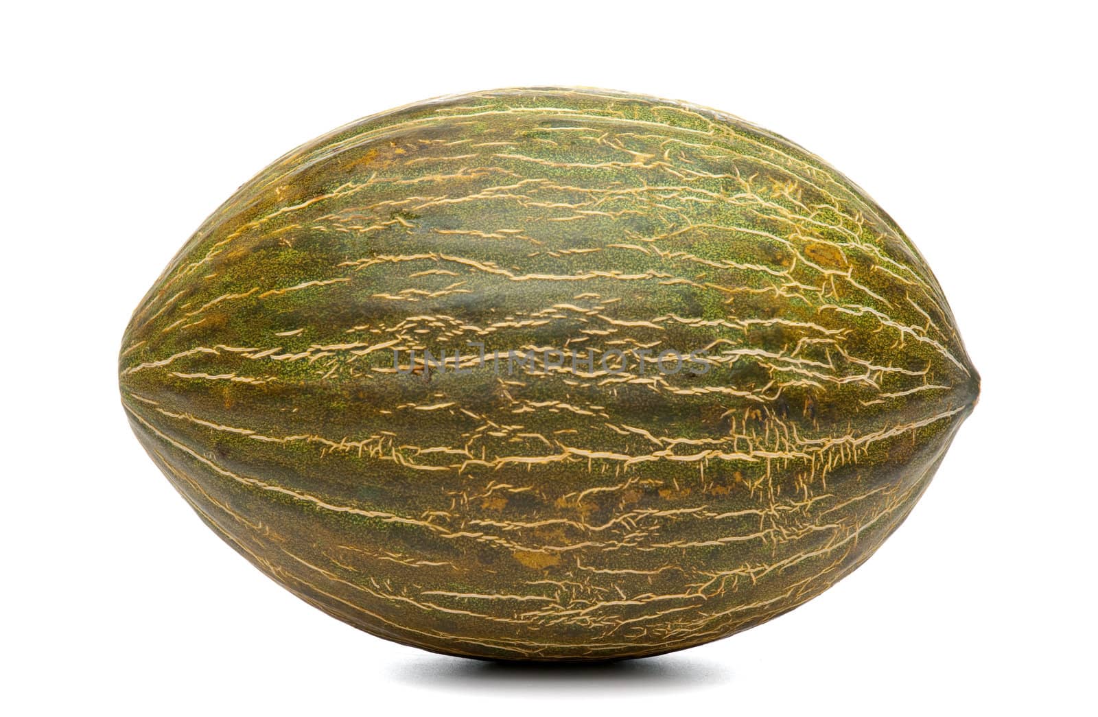 Melon isolated on white background.