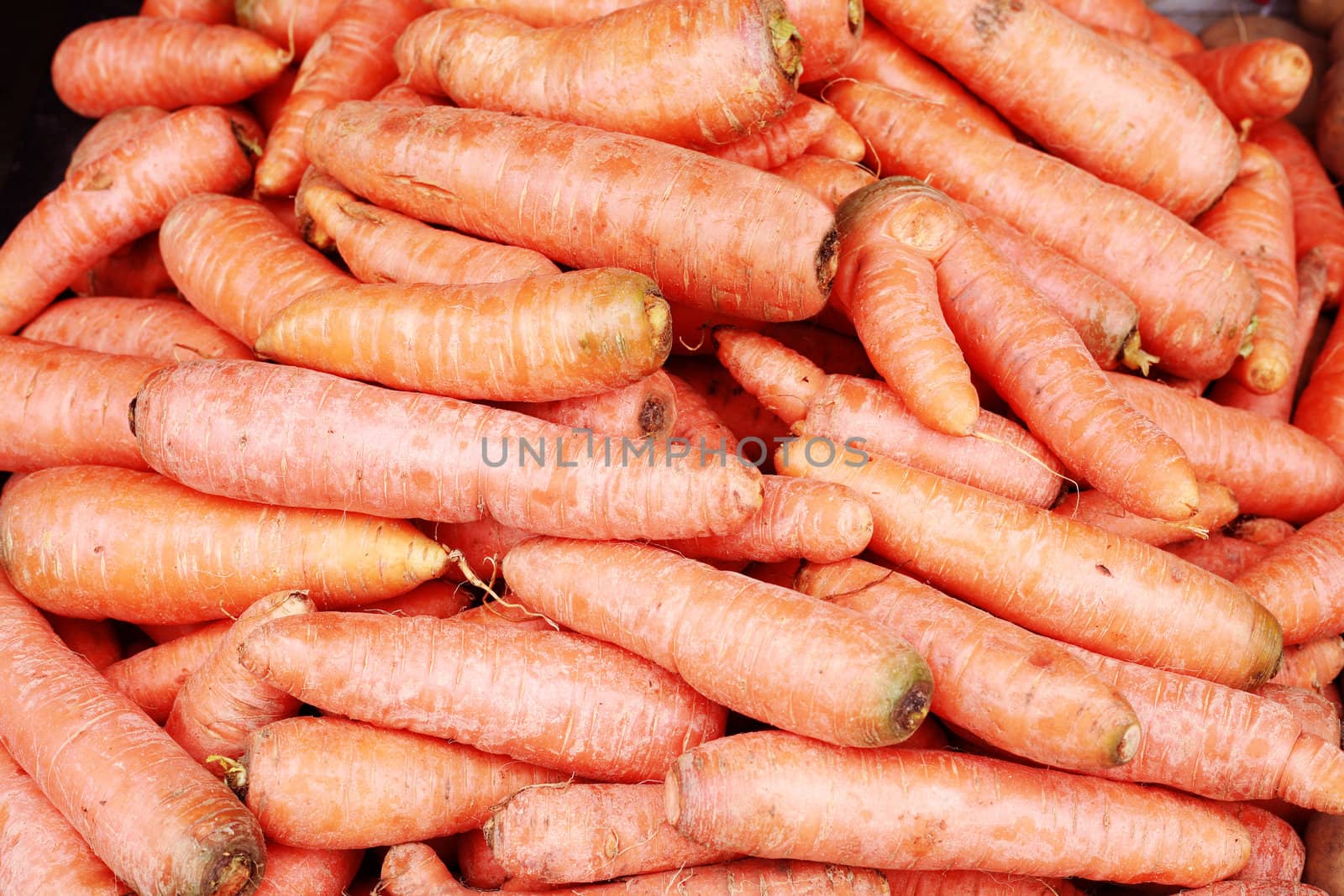 A background of the fresh young carrots.