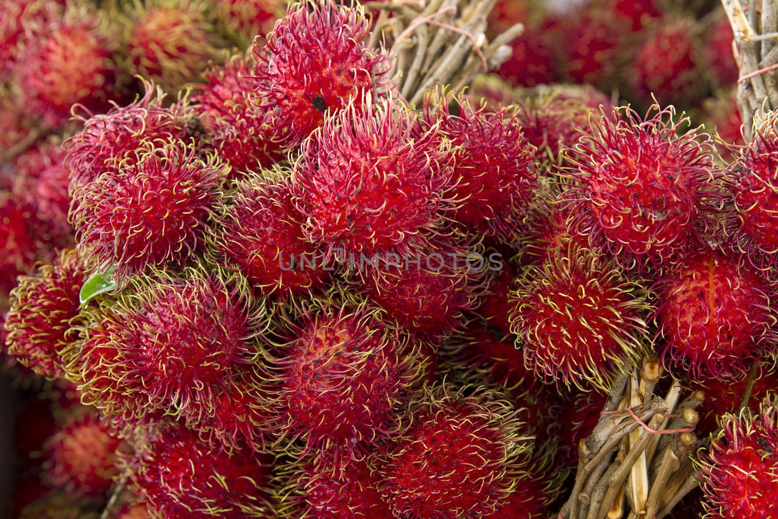 Rambutan on Fruit Stand in Tropical Country