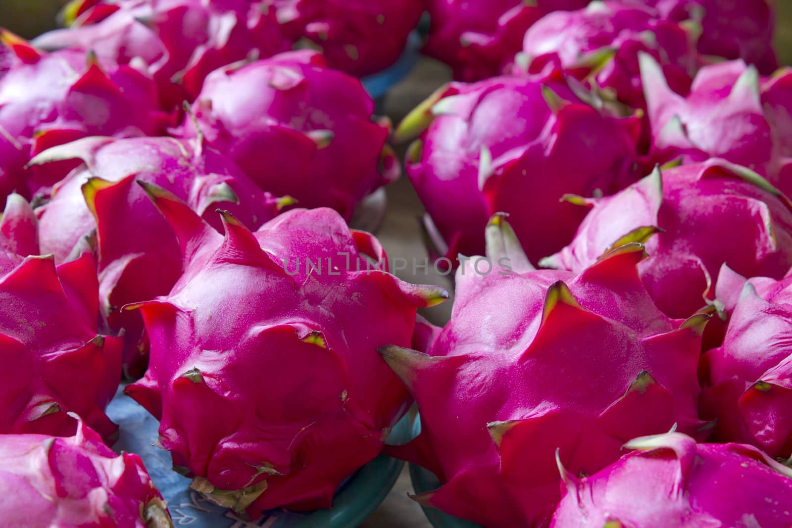 Dragon Fruit on Vendor Stand in Asian Country