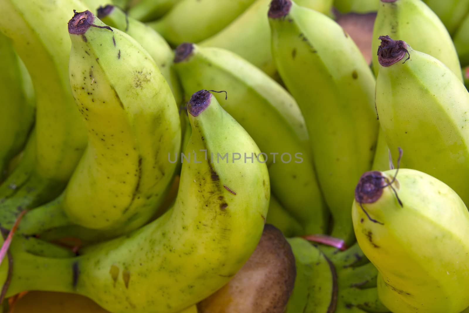 Green Bananas Bunches on Fruit Stand in Tropical Country