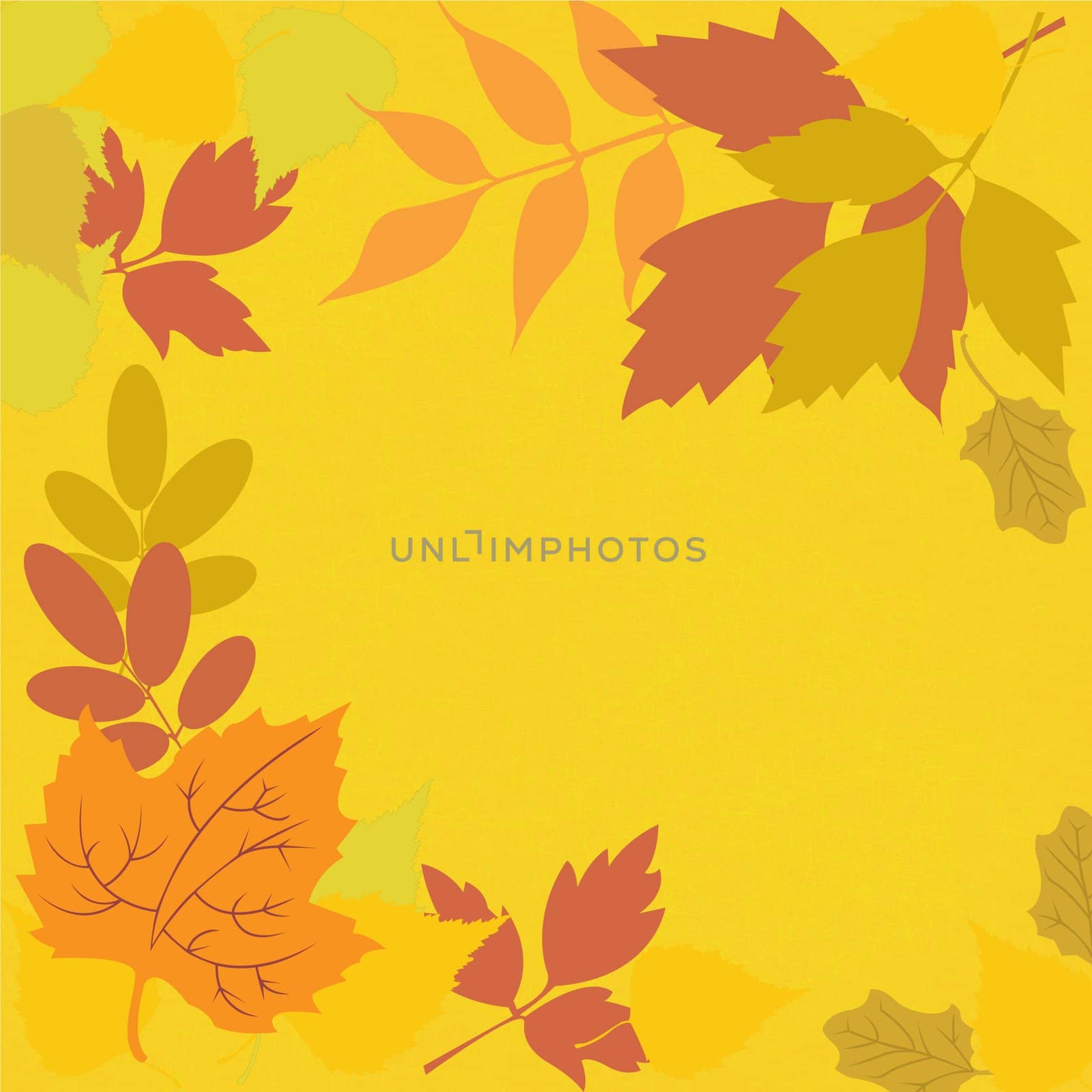 frame from different autumnal leaves on a yellow background