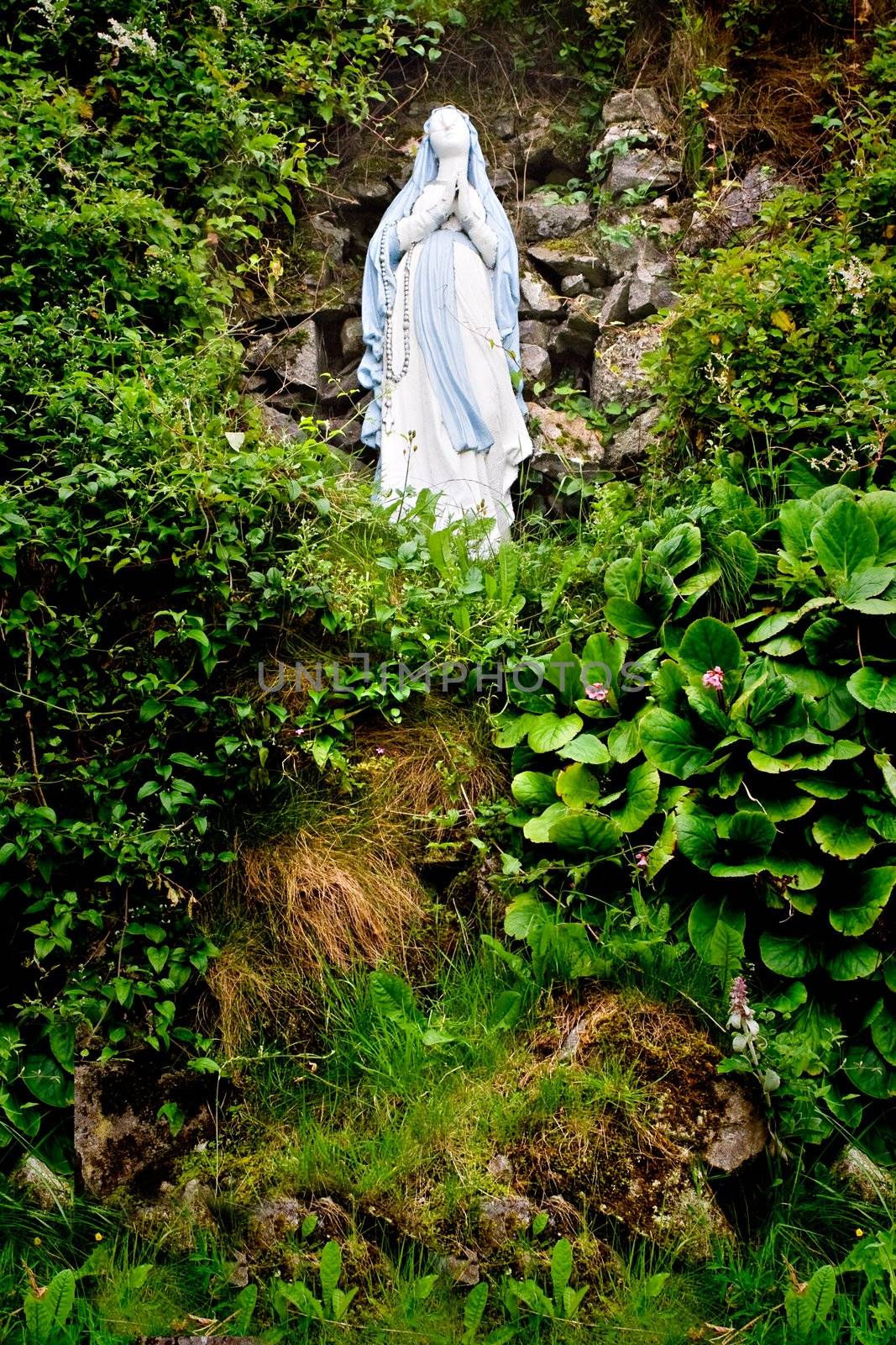 A statue of Virgin Mary on a hill surrounded by foliage