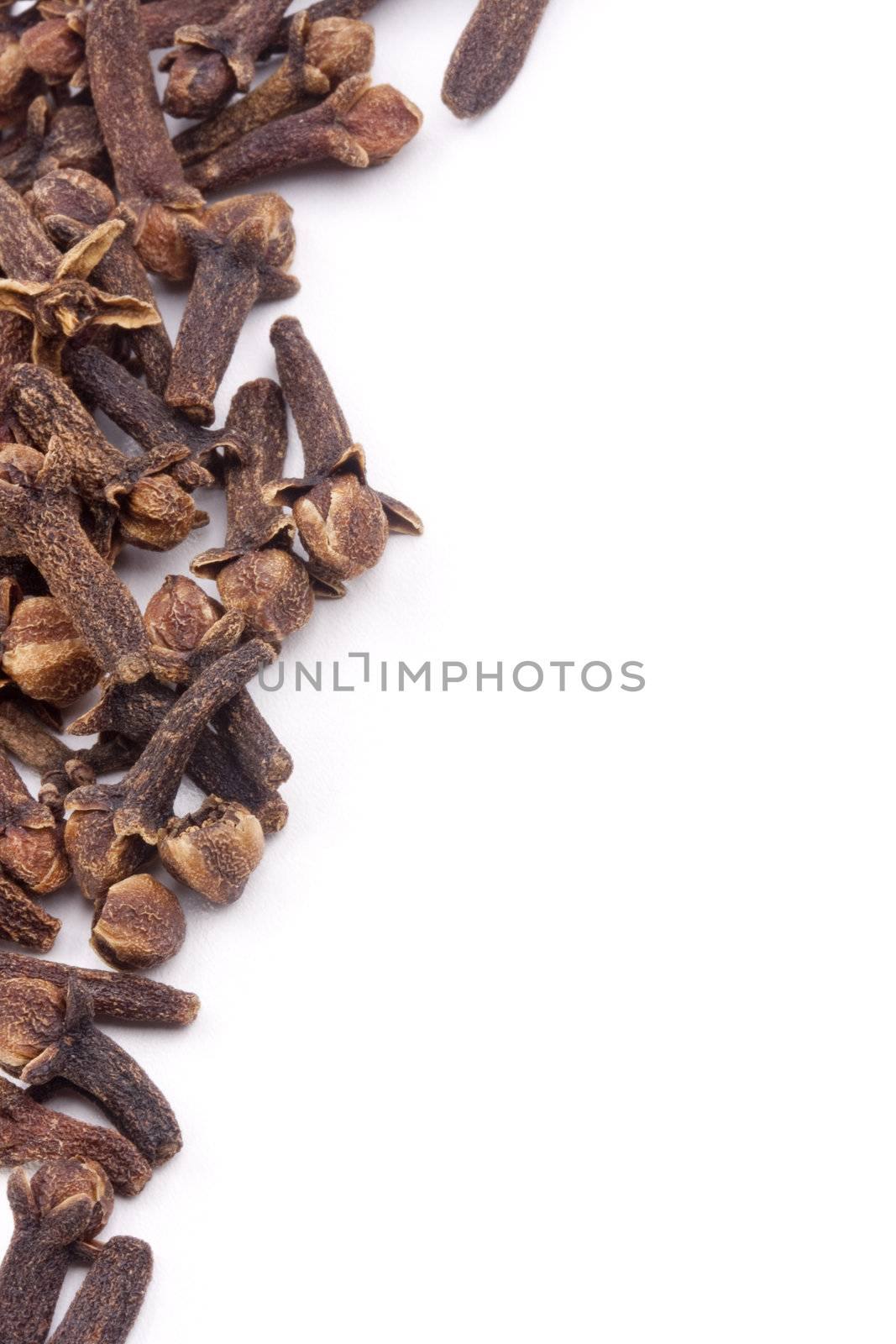 Spices for addition in food on a white background.