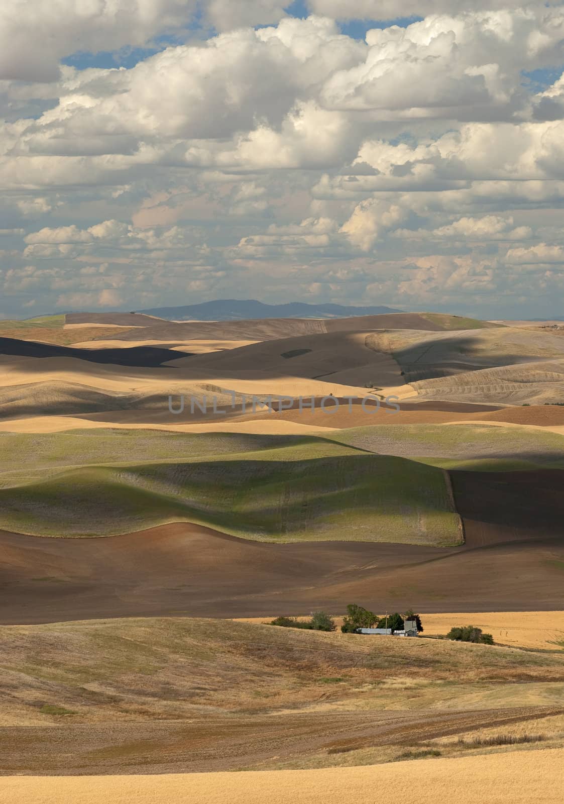 Summer hills and clouds, Whitman County, Washington, USA by CharlesBolin