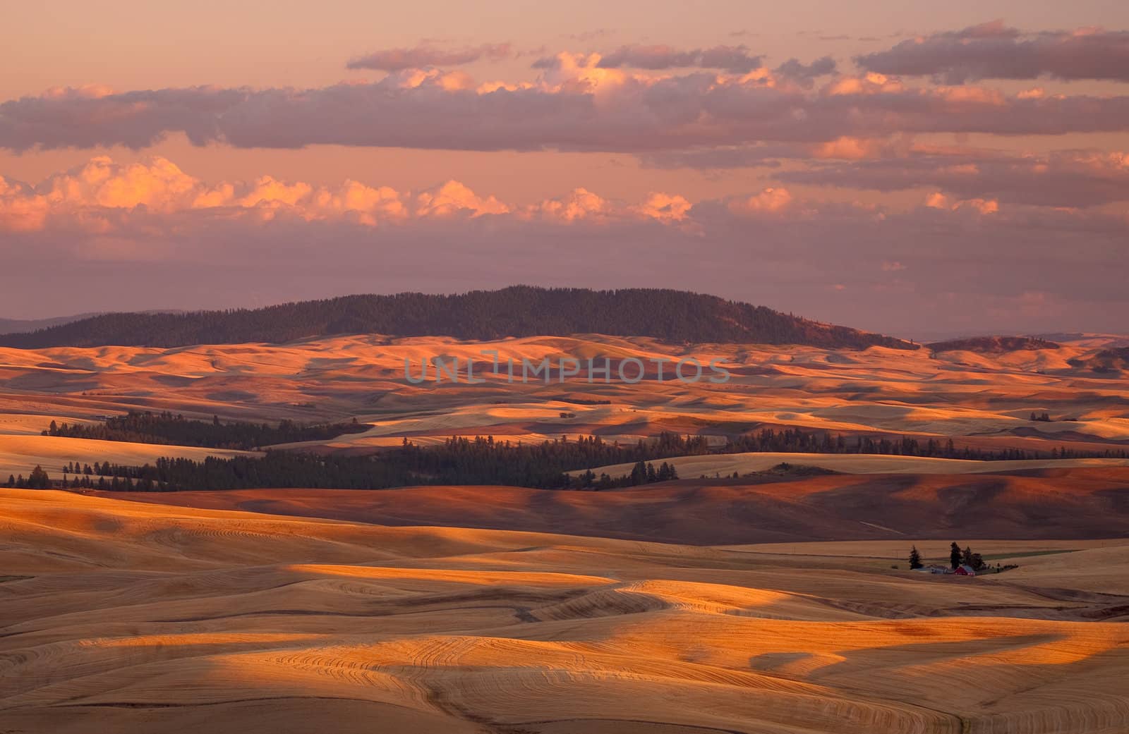 Rolling hills and Kamiak Butte at sunset, late summer, Whitman County, Washington, USA by CharlesBolin