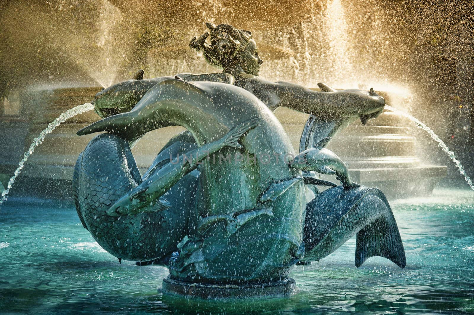 Fountain at Trafalgar Square, London, UK.