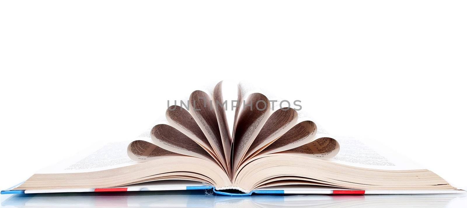 Book with the pages wrapped up in a tube, isolated on a white background