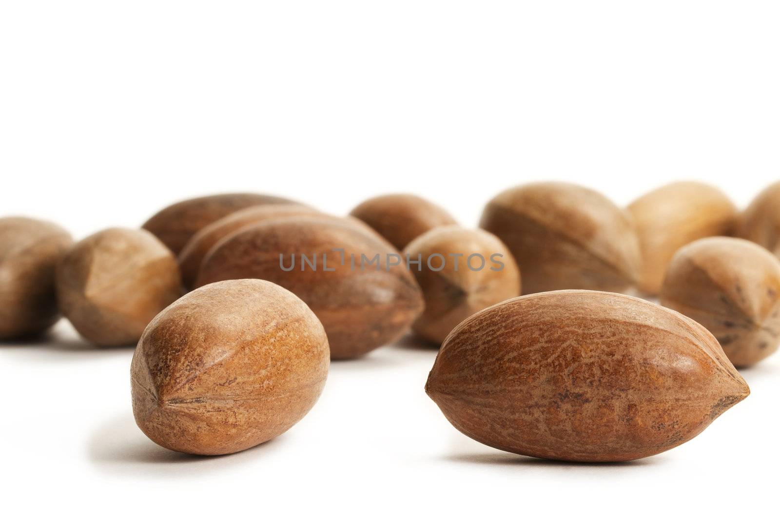 two pecan nuts in front of many on white background