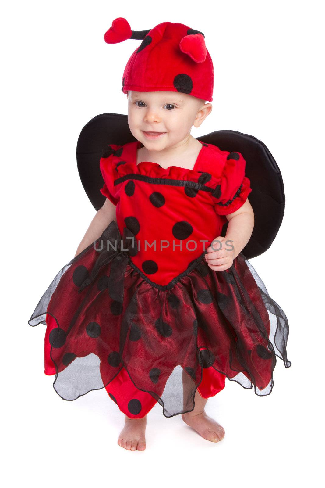 Baby girl wearing halloween costume