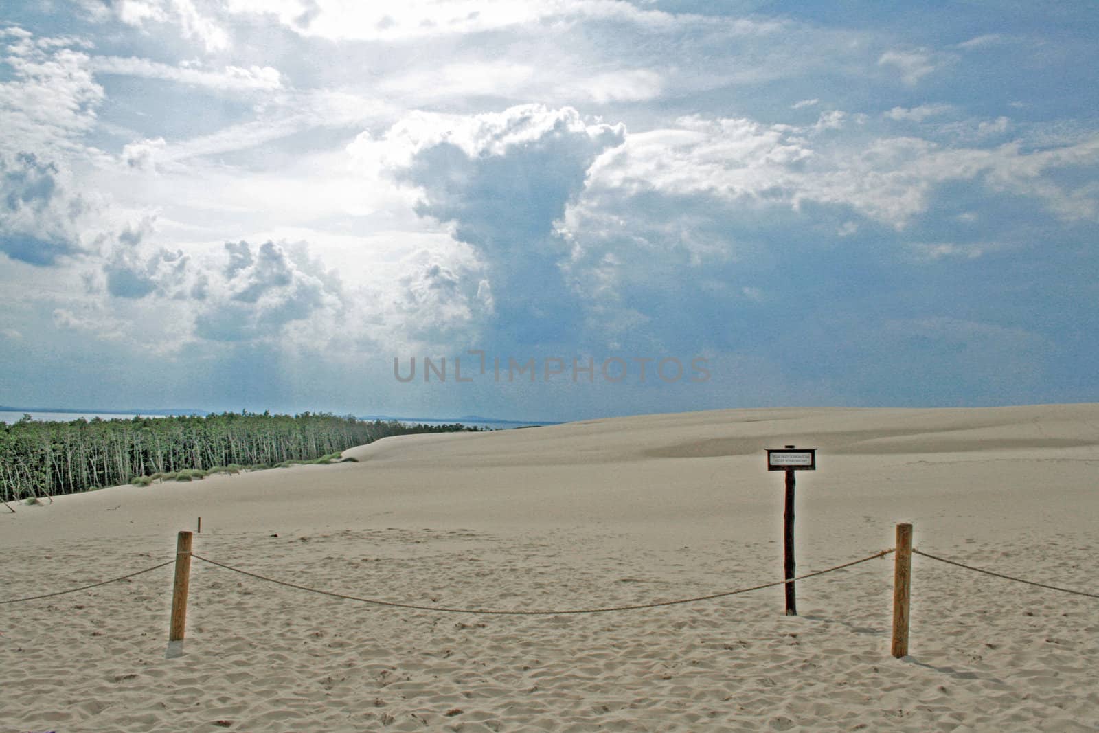 polish dunes by fitec
