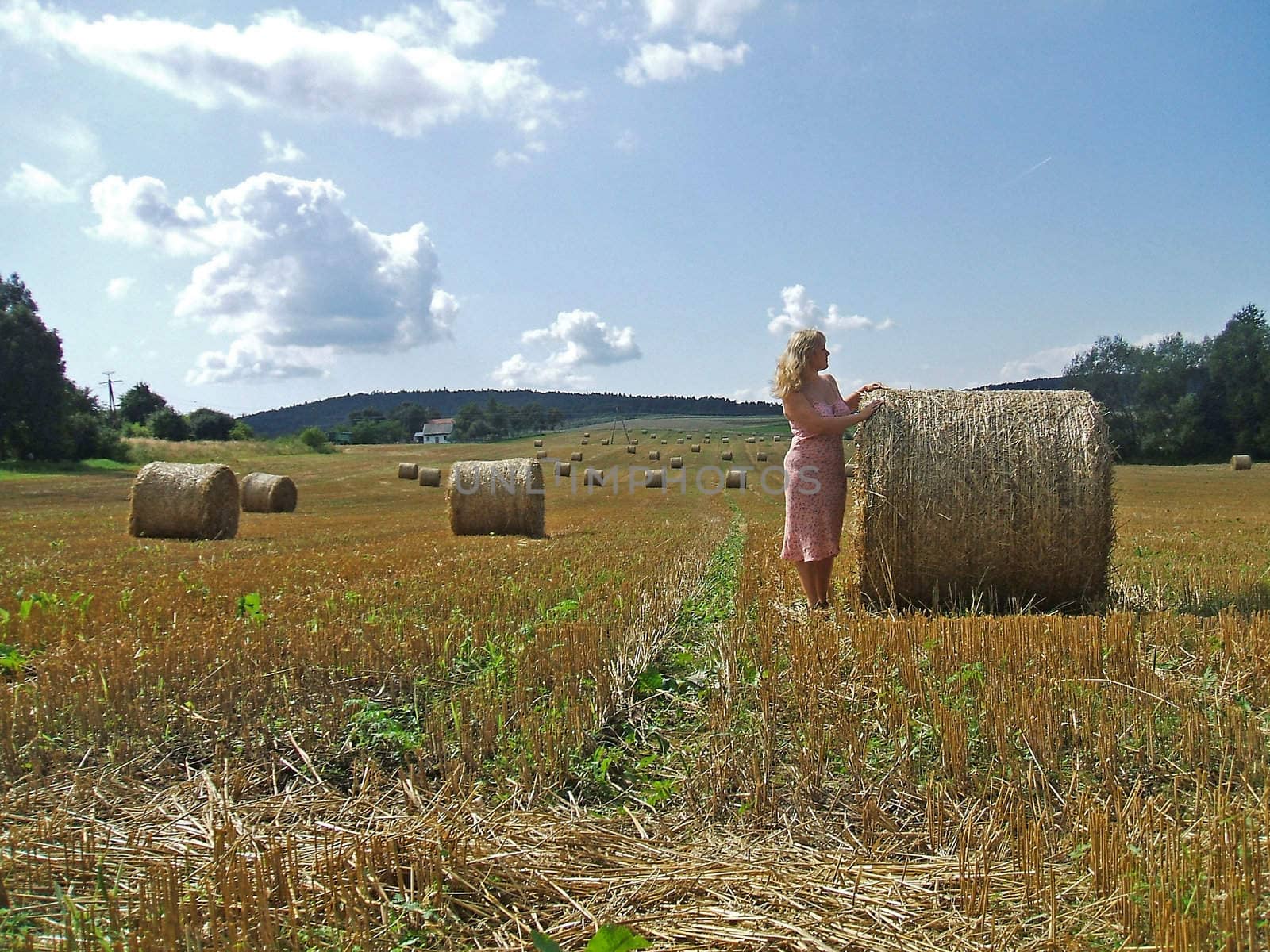 bunch of hay by fitec