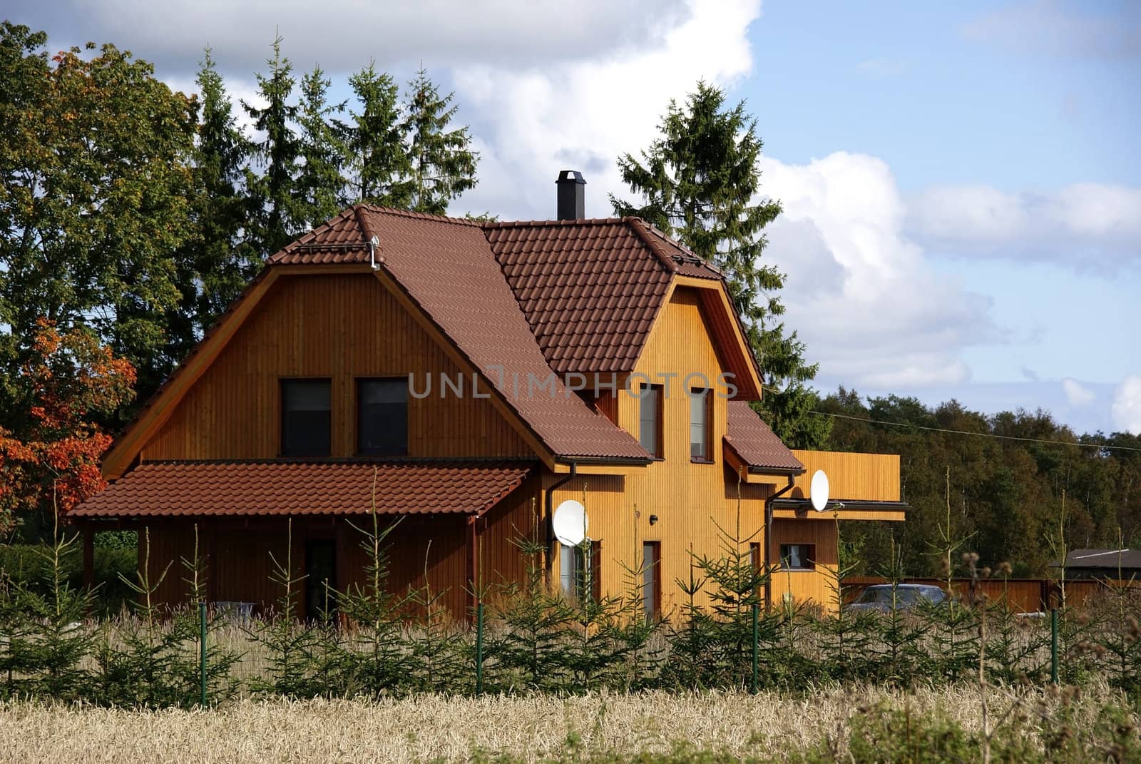 Yellow house on the background of the forest 