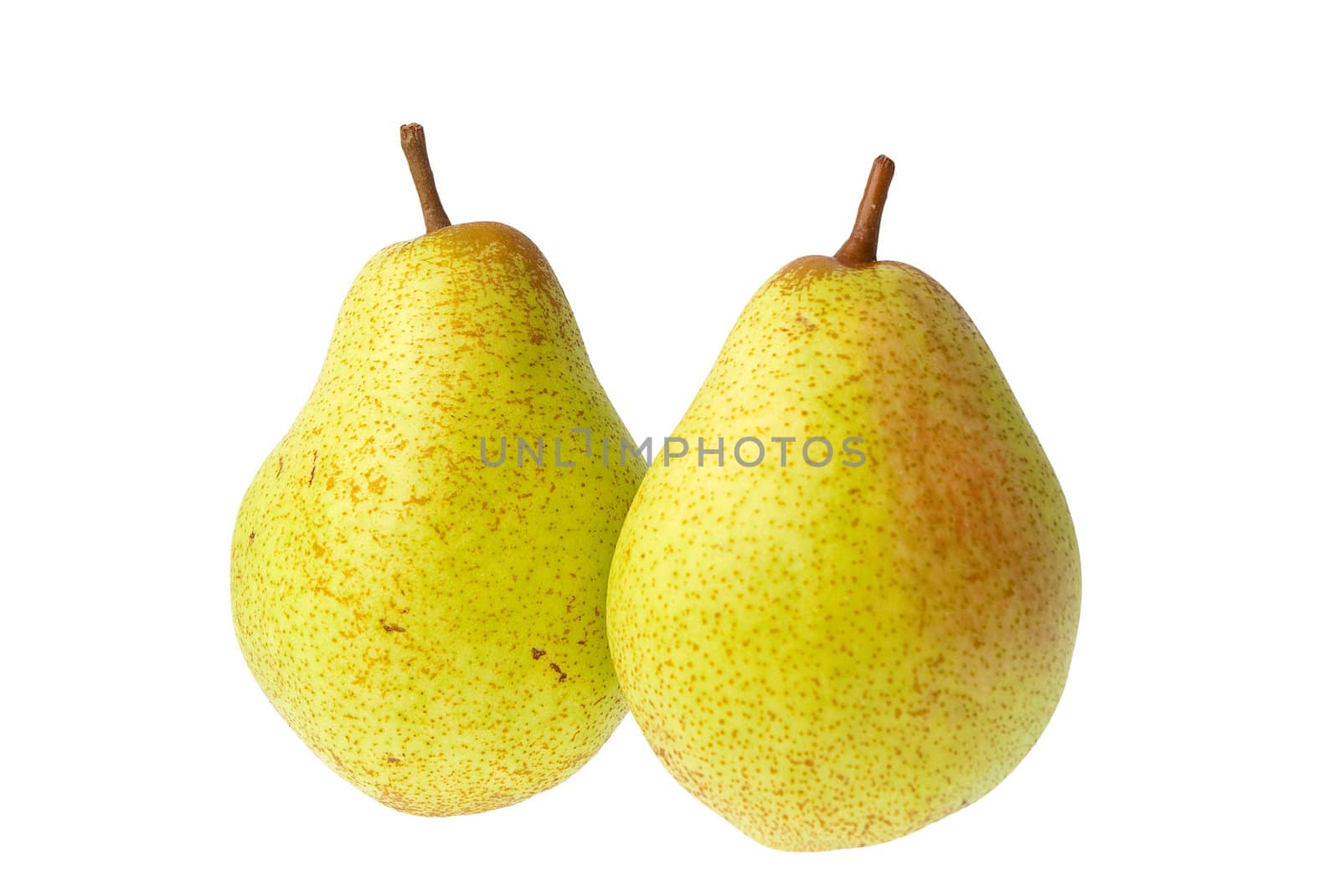 Two pears isolated on white background.