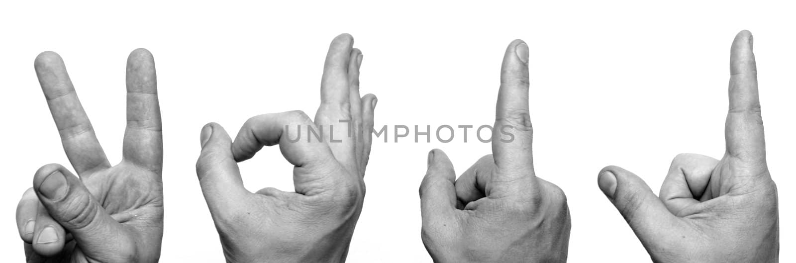 Human hands showing 2011 over white background