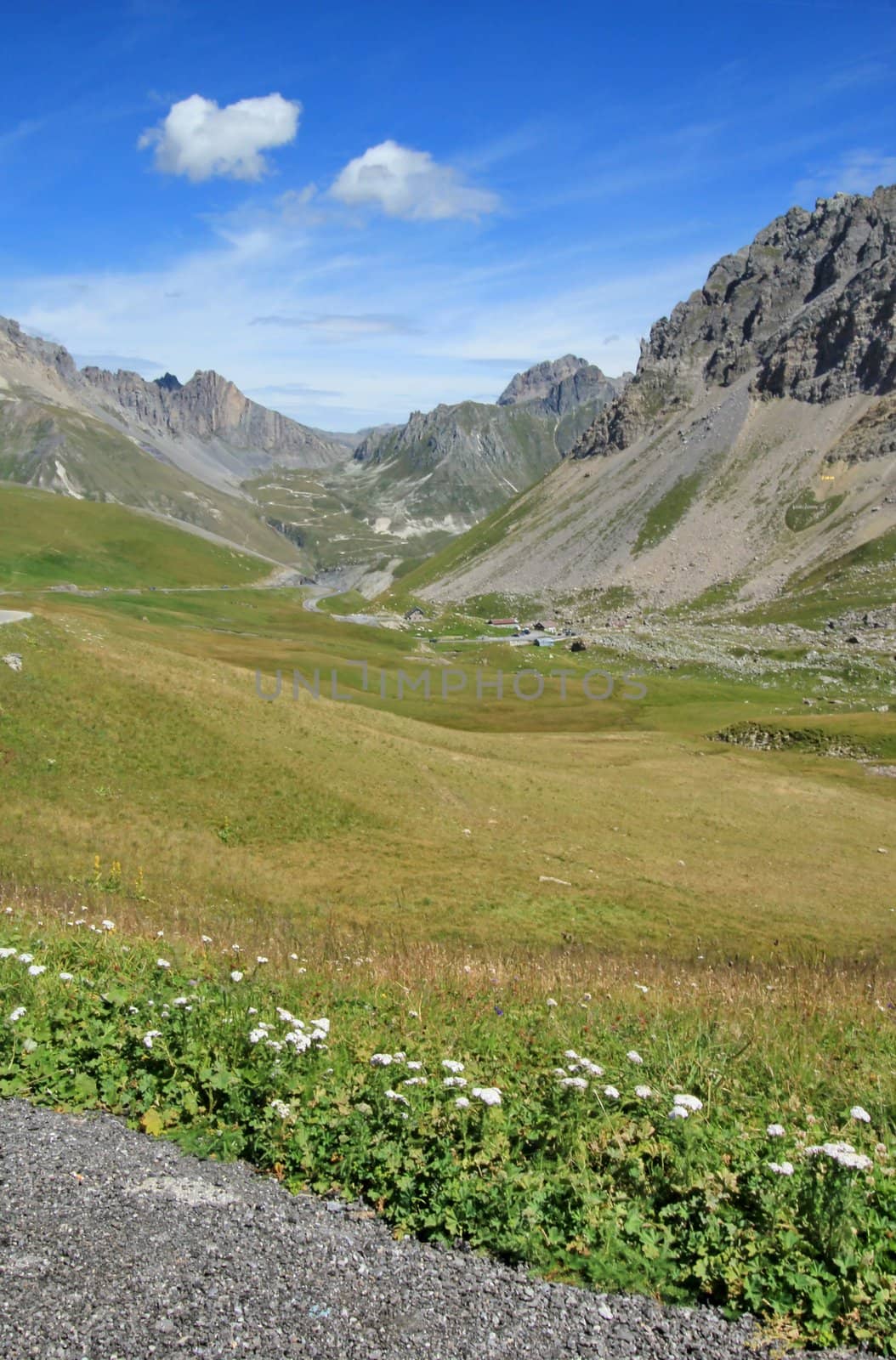 Landscape of the mountain with the rocks, grass and flowers at the Galibier pass, France, by summer