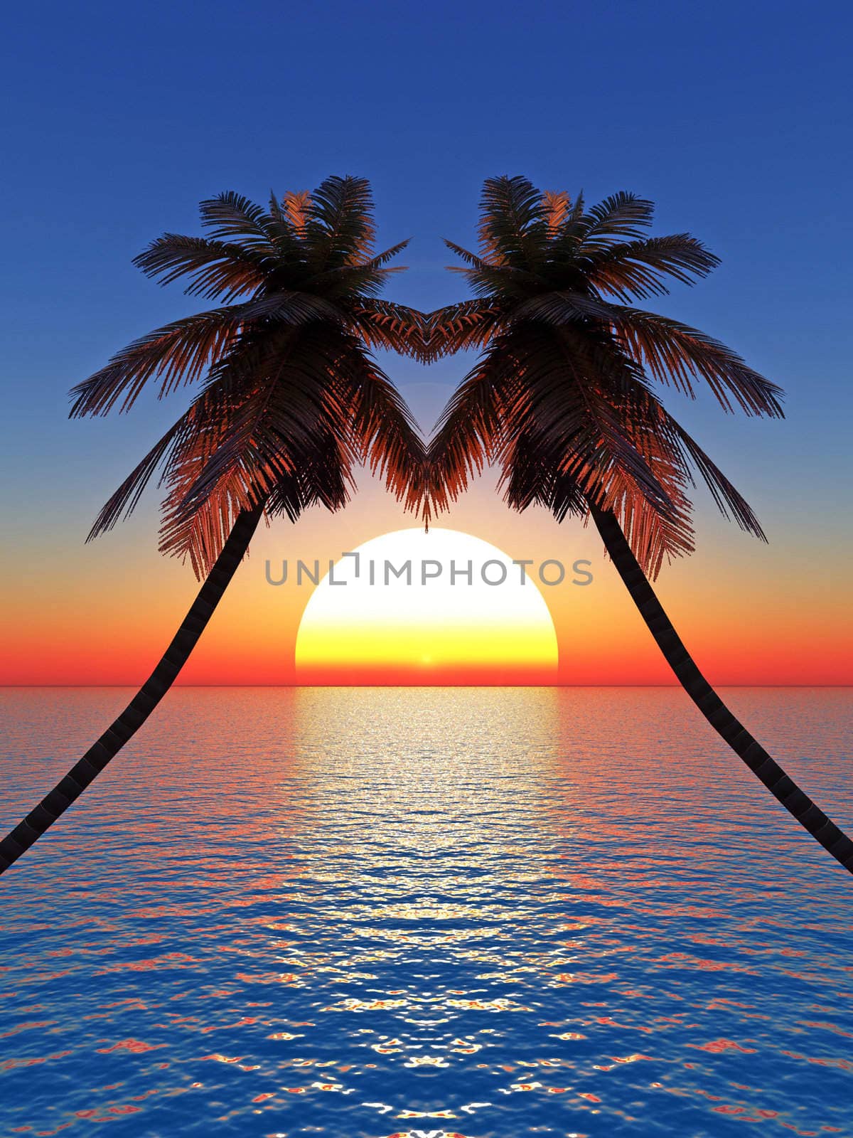 Top of palm trees on a background of a sunset sky