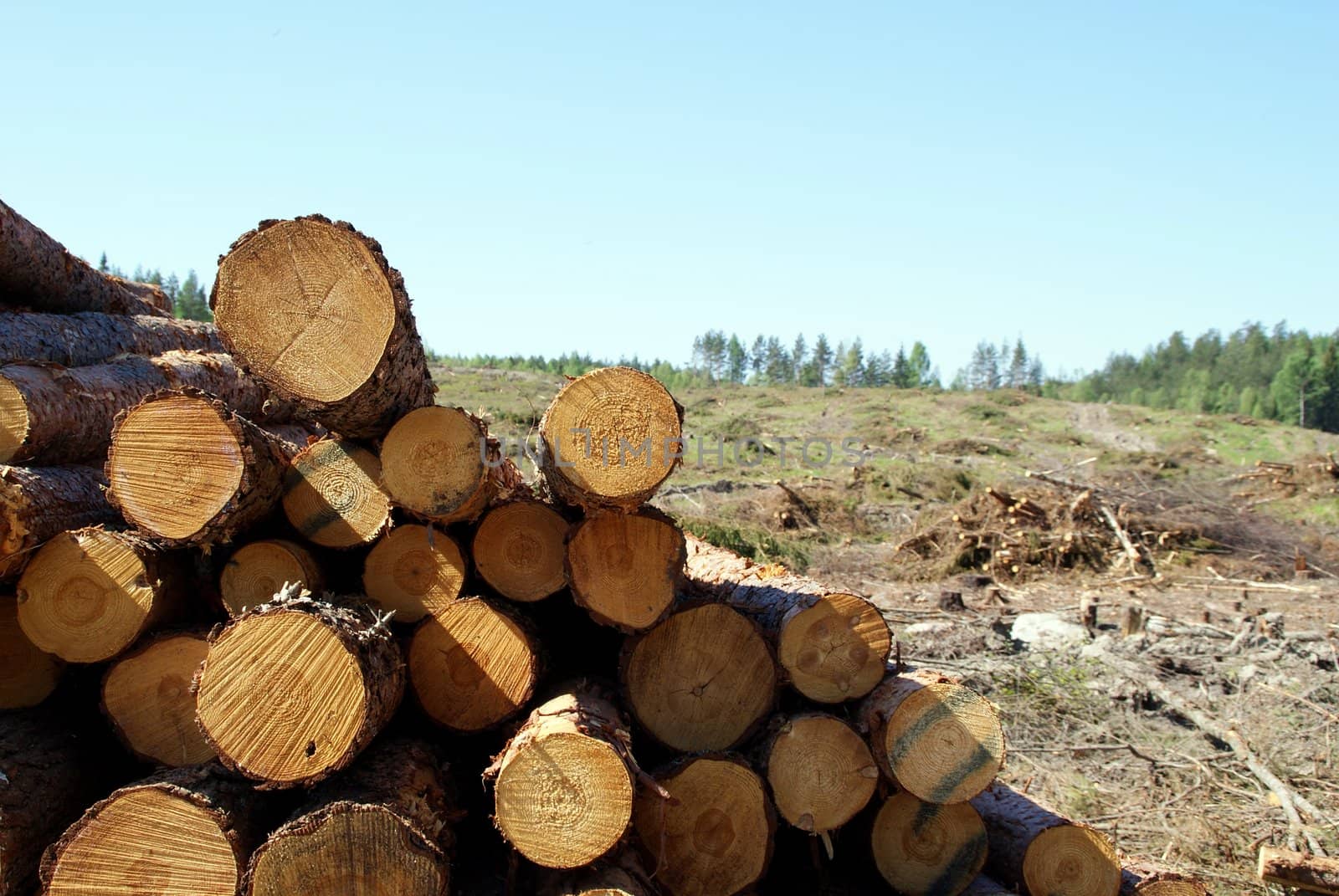 Timber logs with clear cut forest on a sunny day. Photographed in Salo, Finland in May 2010.