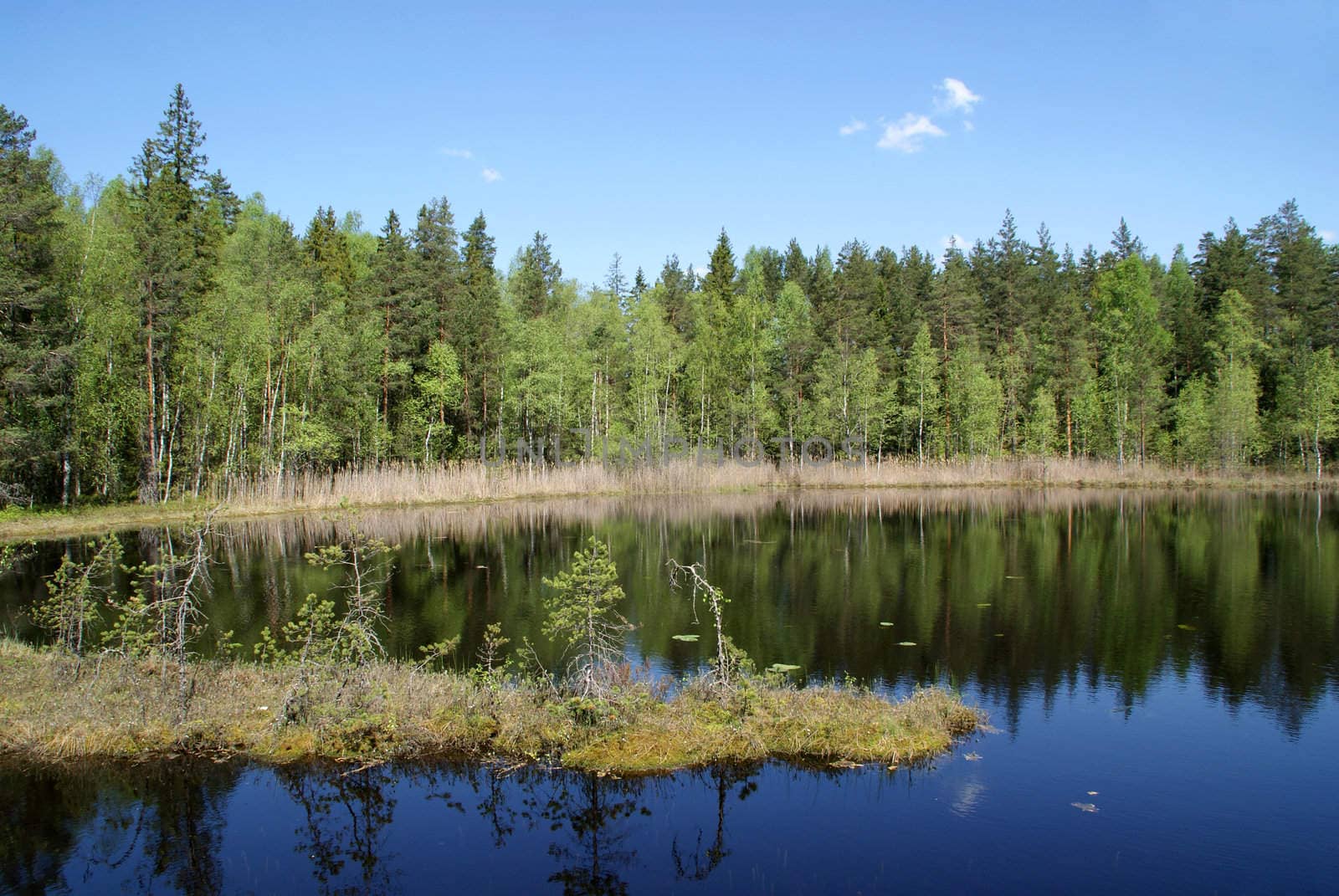 Scenery along the shores of a small rural lake Kolmpera on a sunny day of May in Salo, South of Finland. 