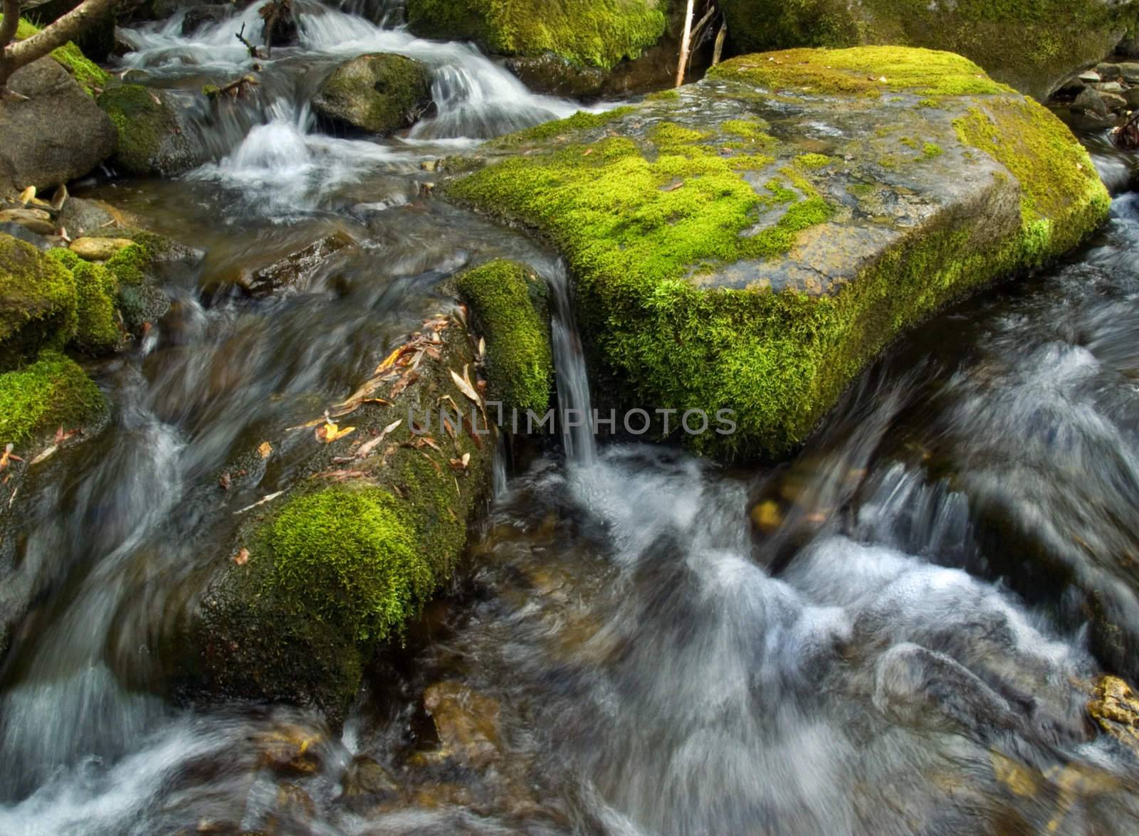 Kuznetsk Alatau - a mountainous country in Siberia is rich in rivers, streams and waterfalls.