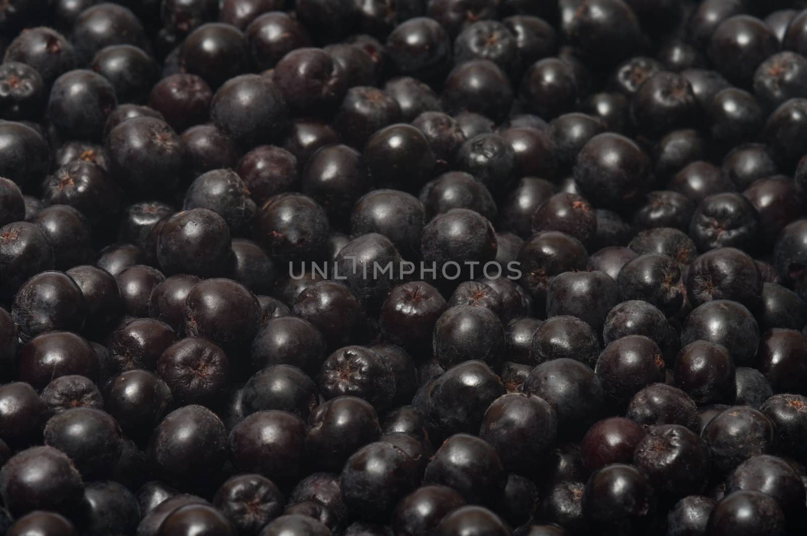 Close up shot background of aronia berries.