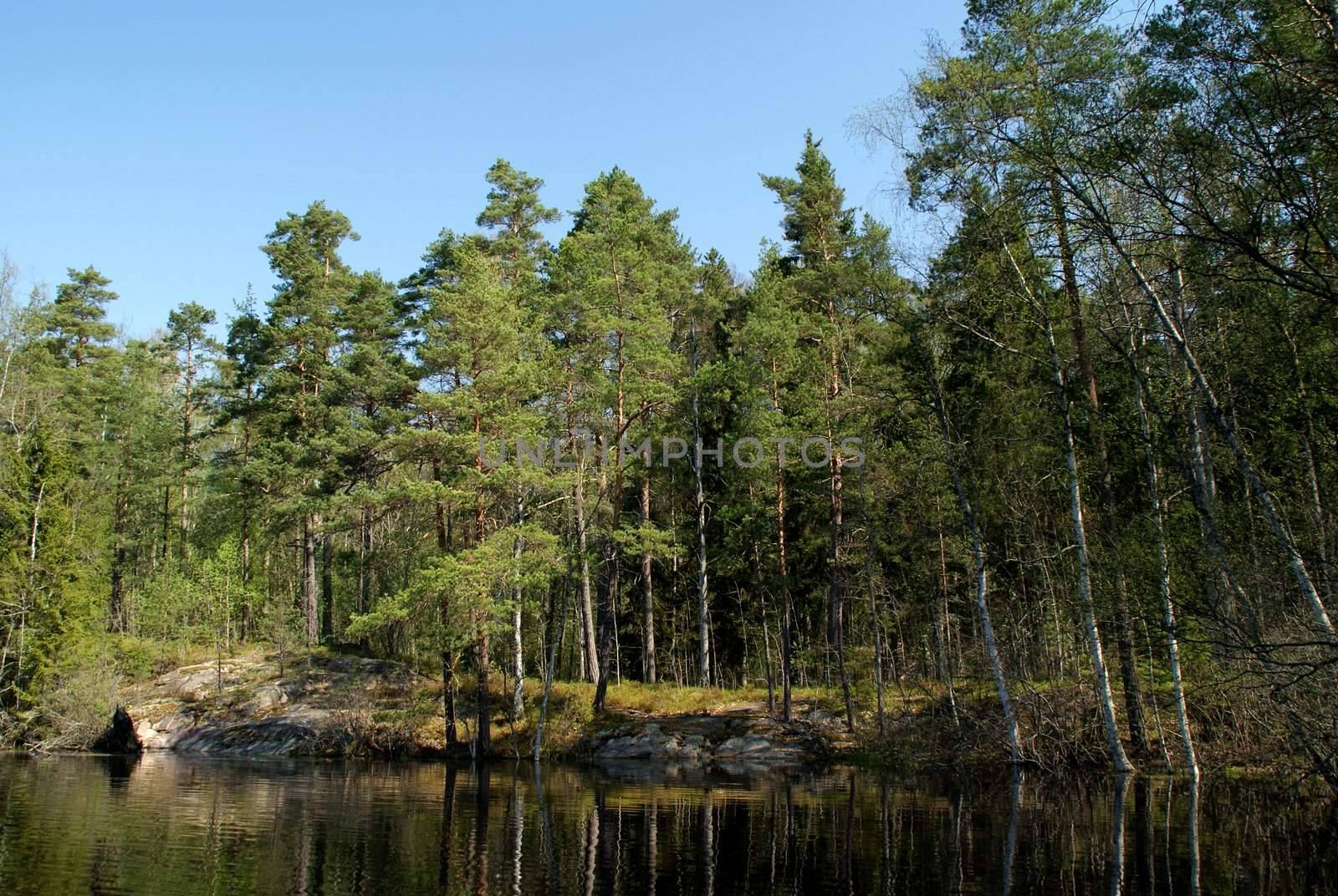 Trees reflected on a rural lake in the spring. Photographed in Salo, Finland in May 2010.