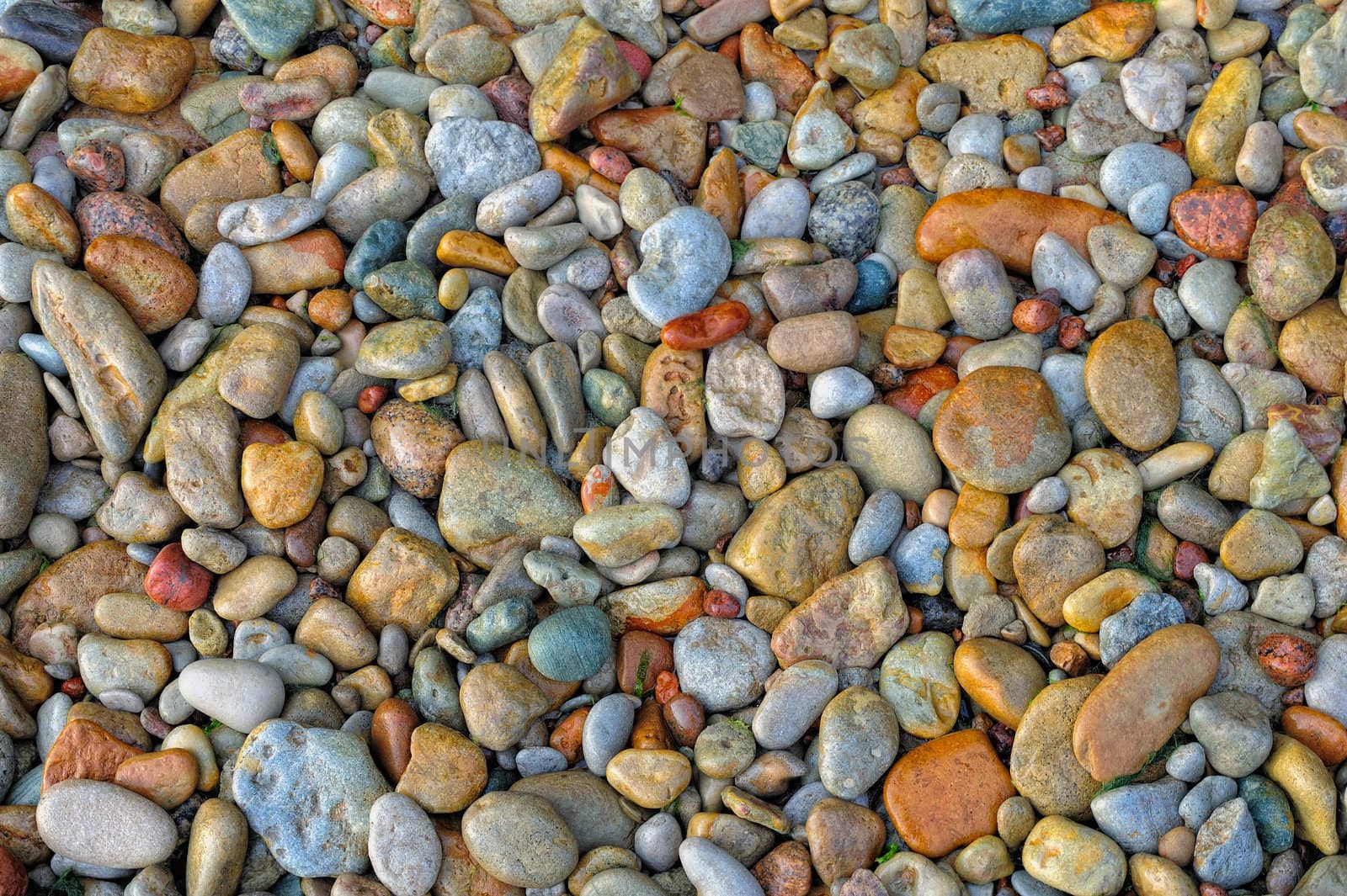 Colored small wet pebbles on the seashore
