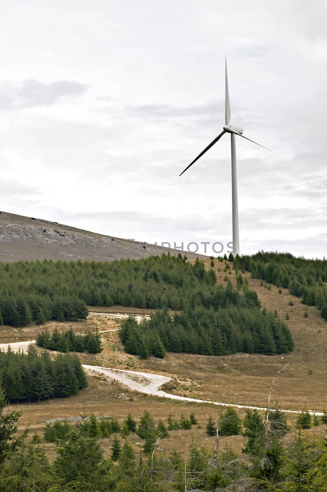 Eolic energy: Wind power through  wind turbines