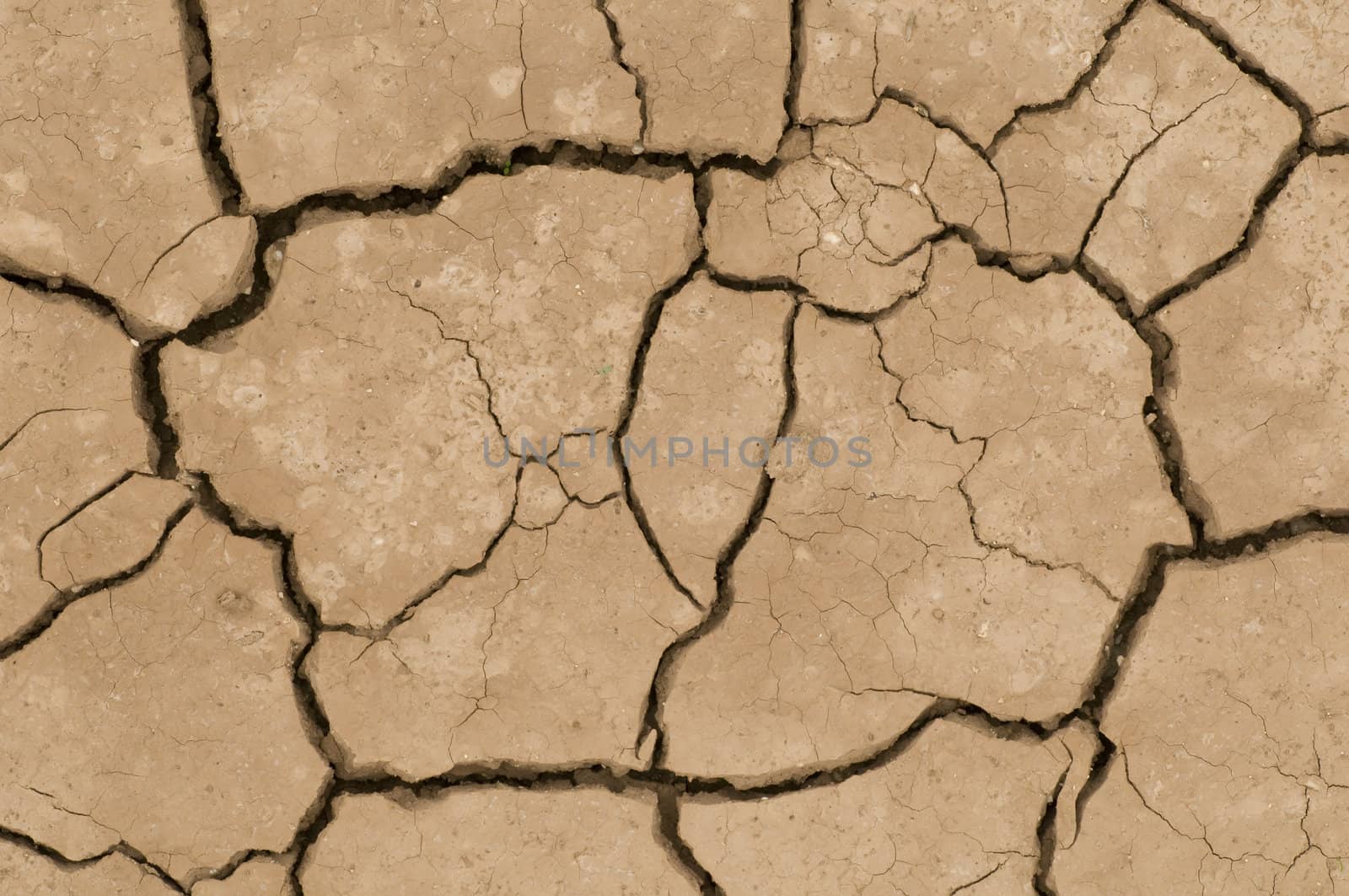 Cracks on ground induced by dry weather