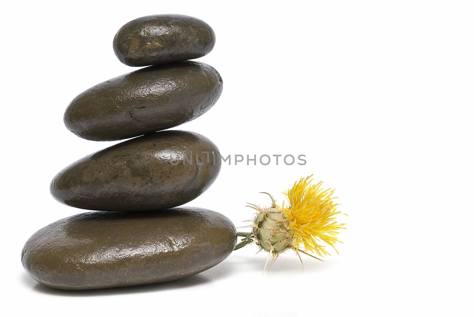 Zen balance with curative stones.