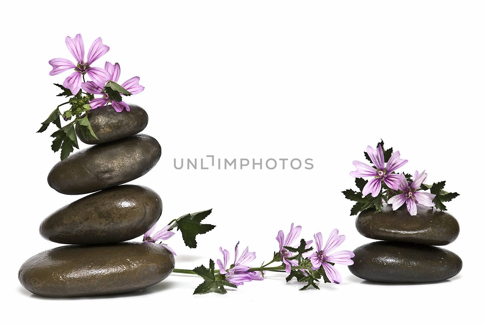 Zen balance. by angelsimon