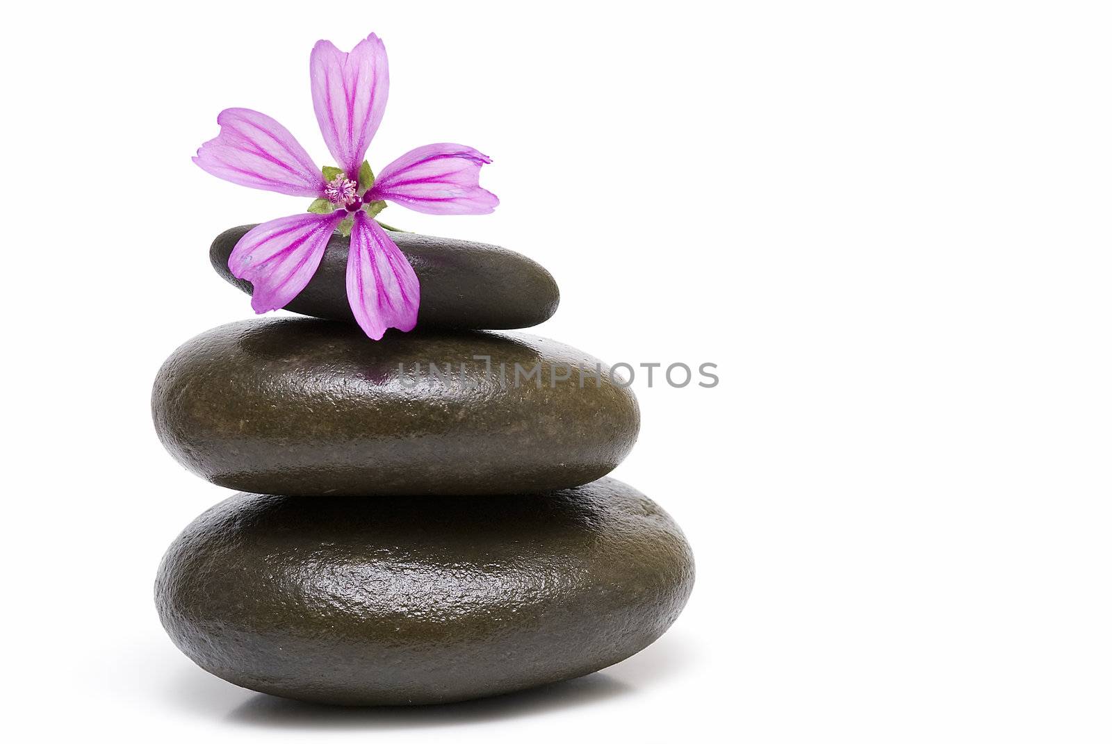 Zen balance with curative stones.