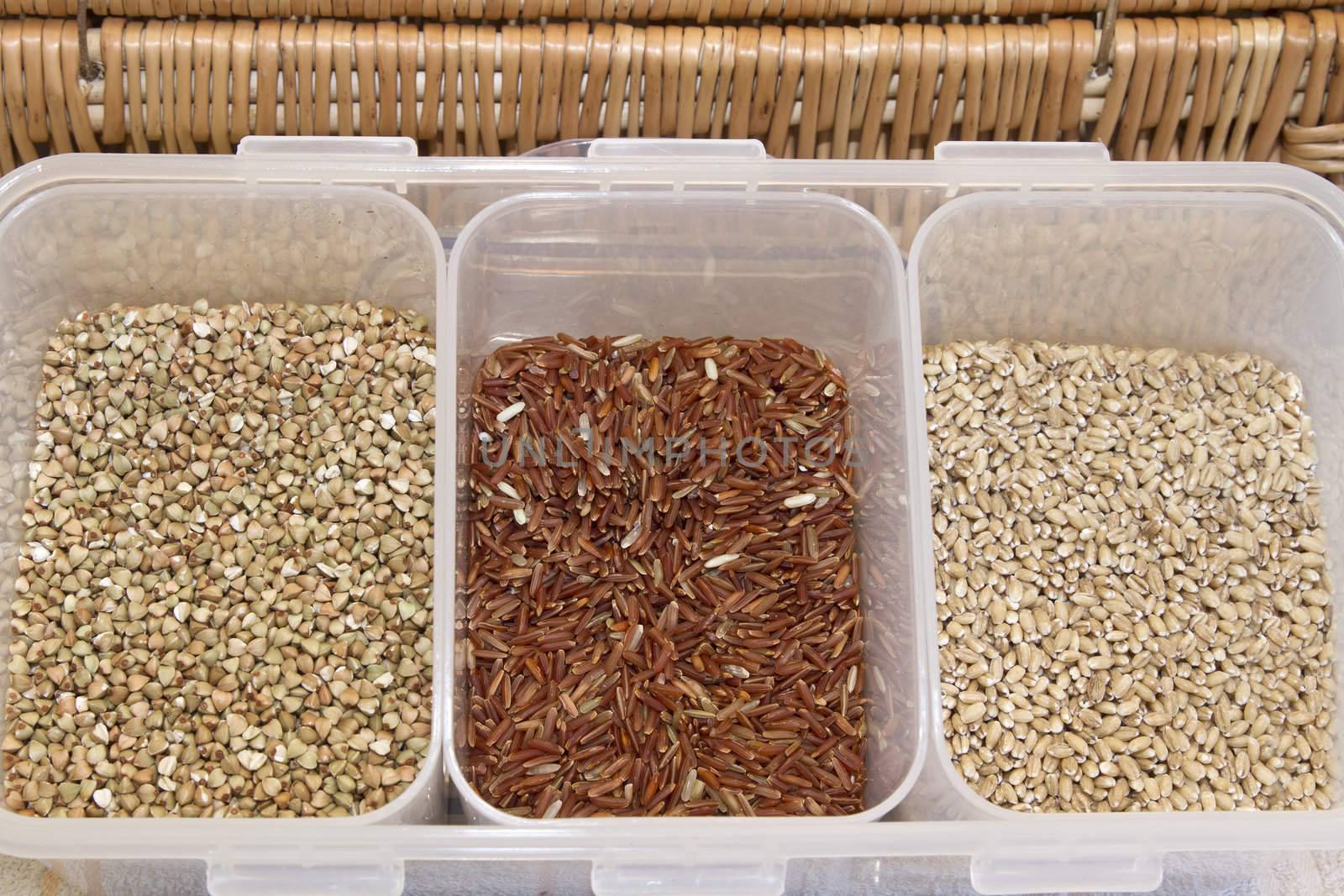Organic Grains Display with Brown Rice Barley and Wheat
