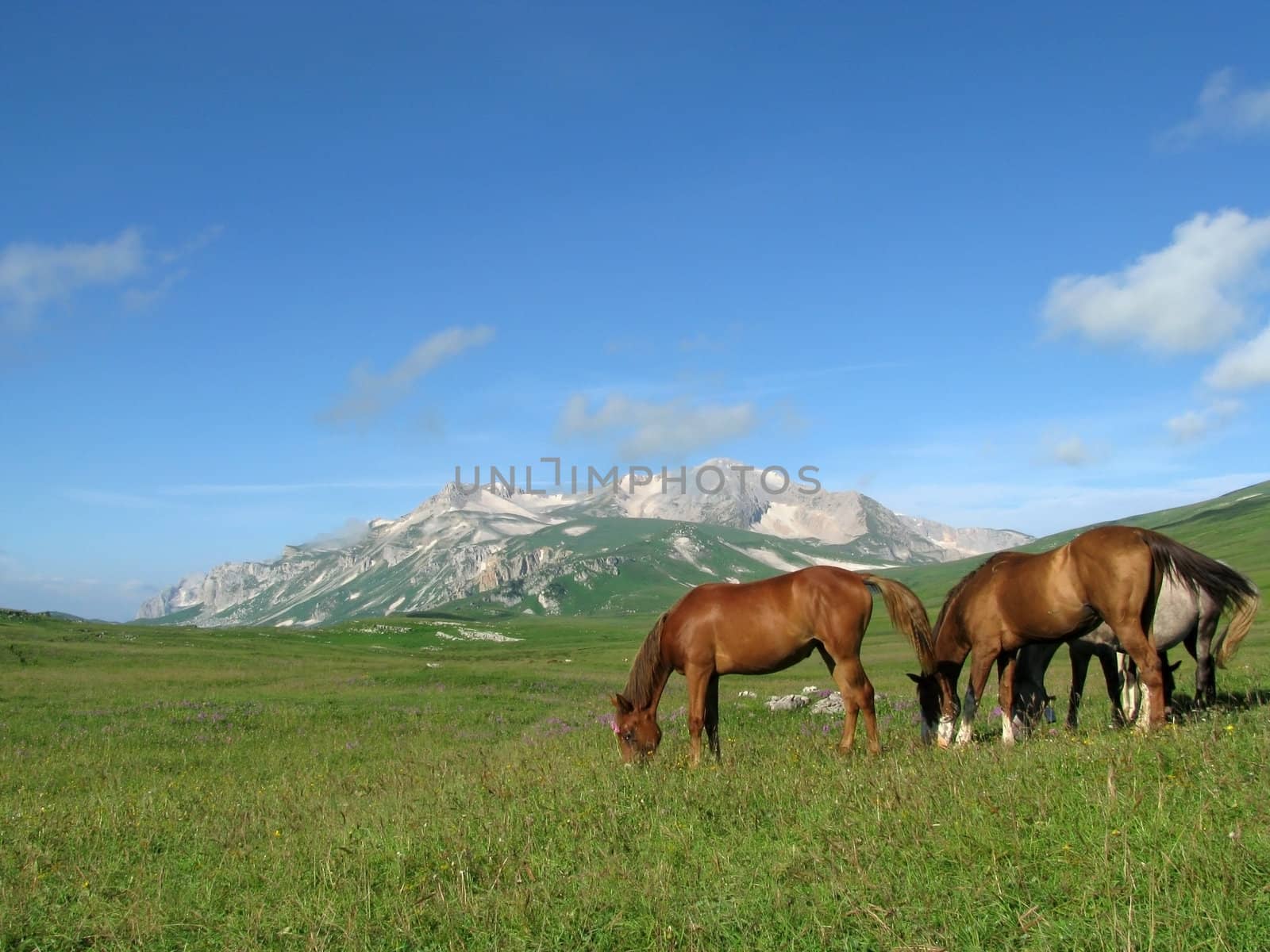 Mountains, rocks; a relief; a landscape; a hill; a panorama; Caucasus; top; a slope; a snow, clouds; the sky