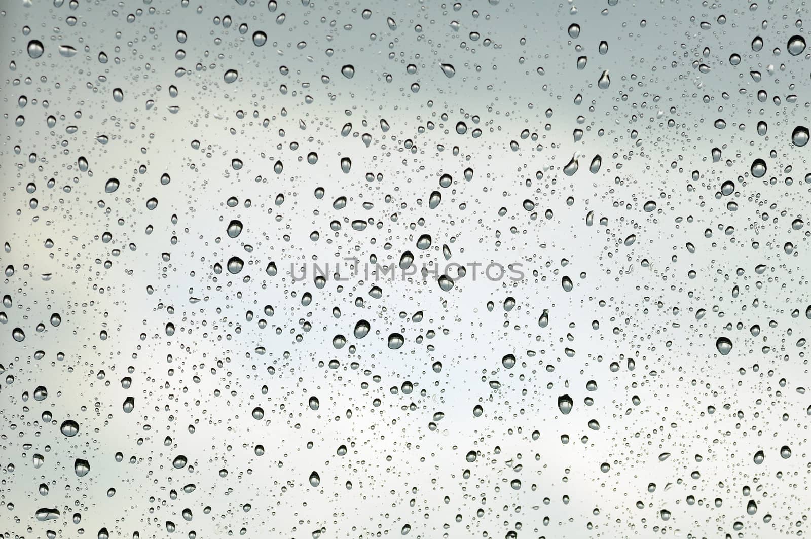 drops on window by uriy2007