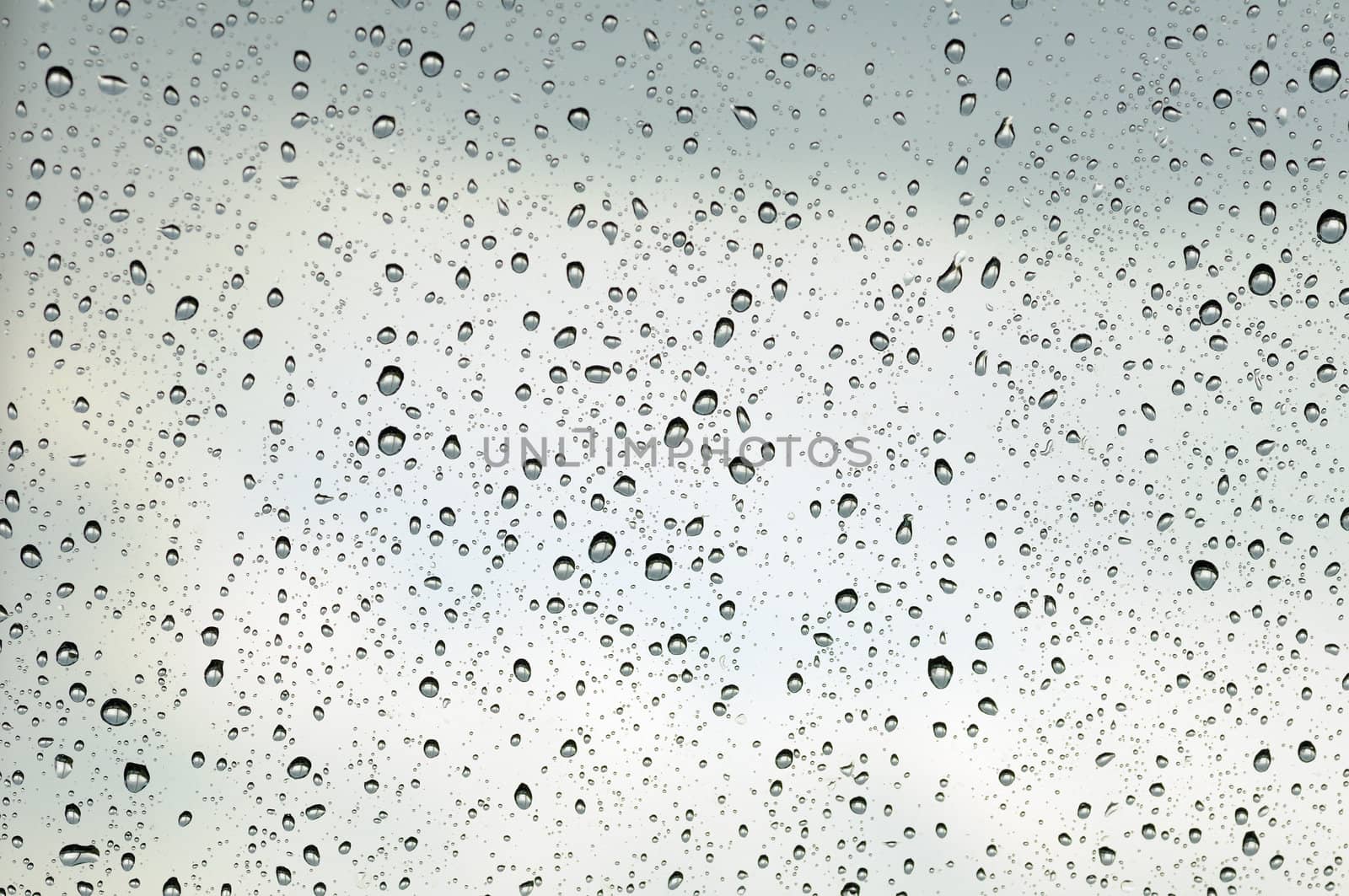 Rain drops on a windowpane