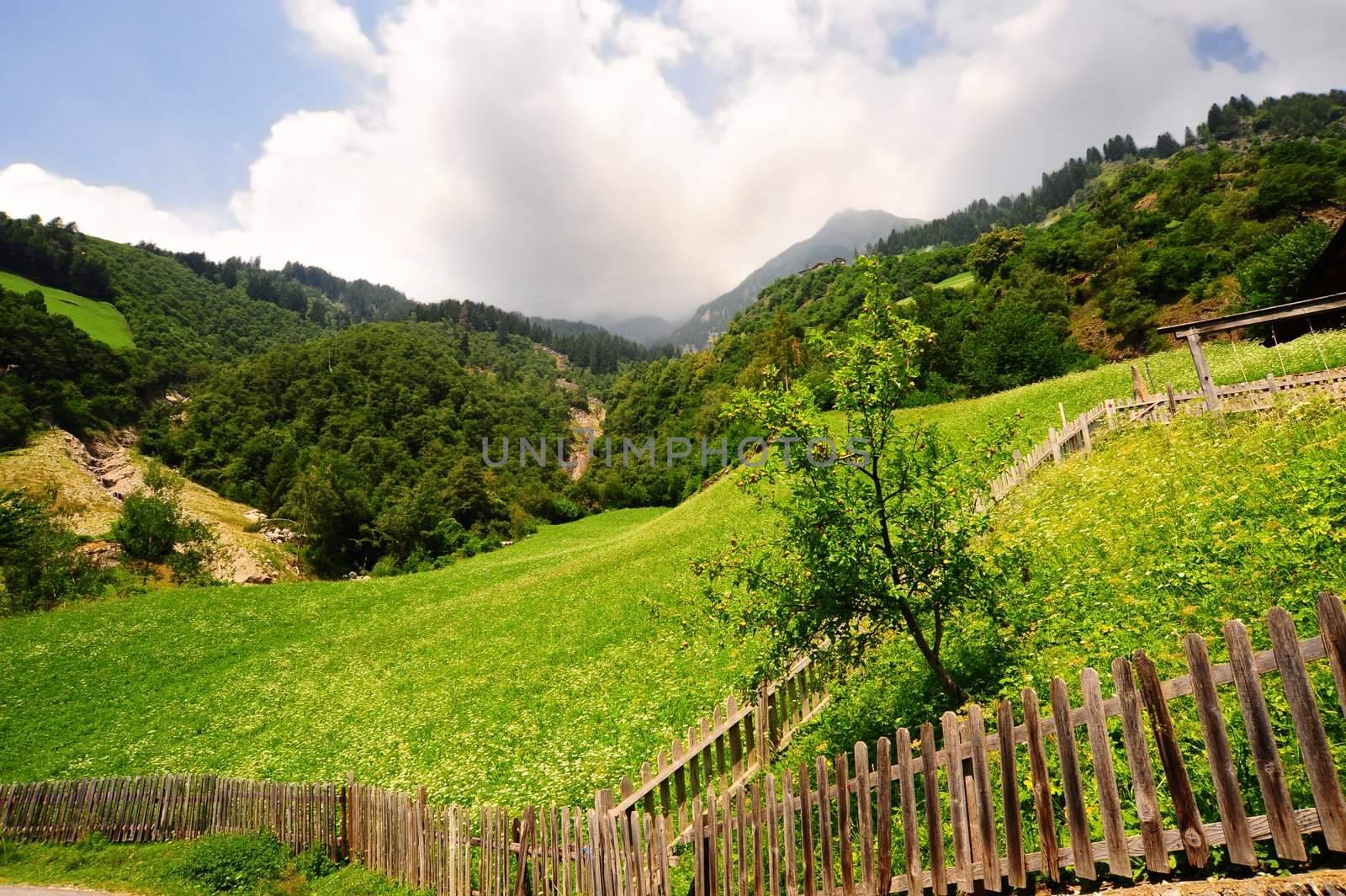 The Wood Fence High Up In The Italian Alps