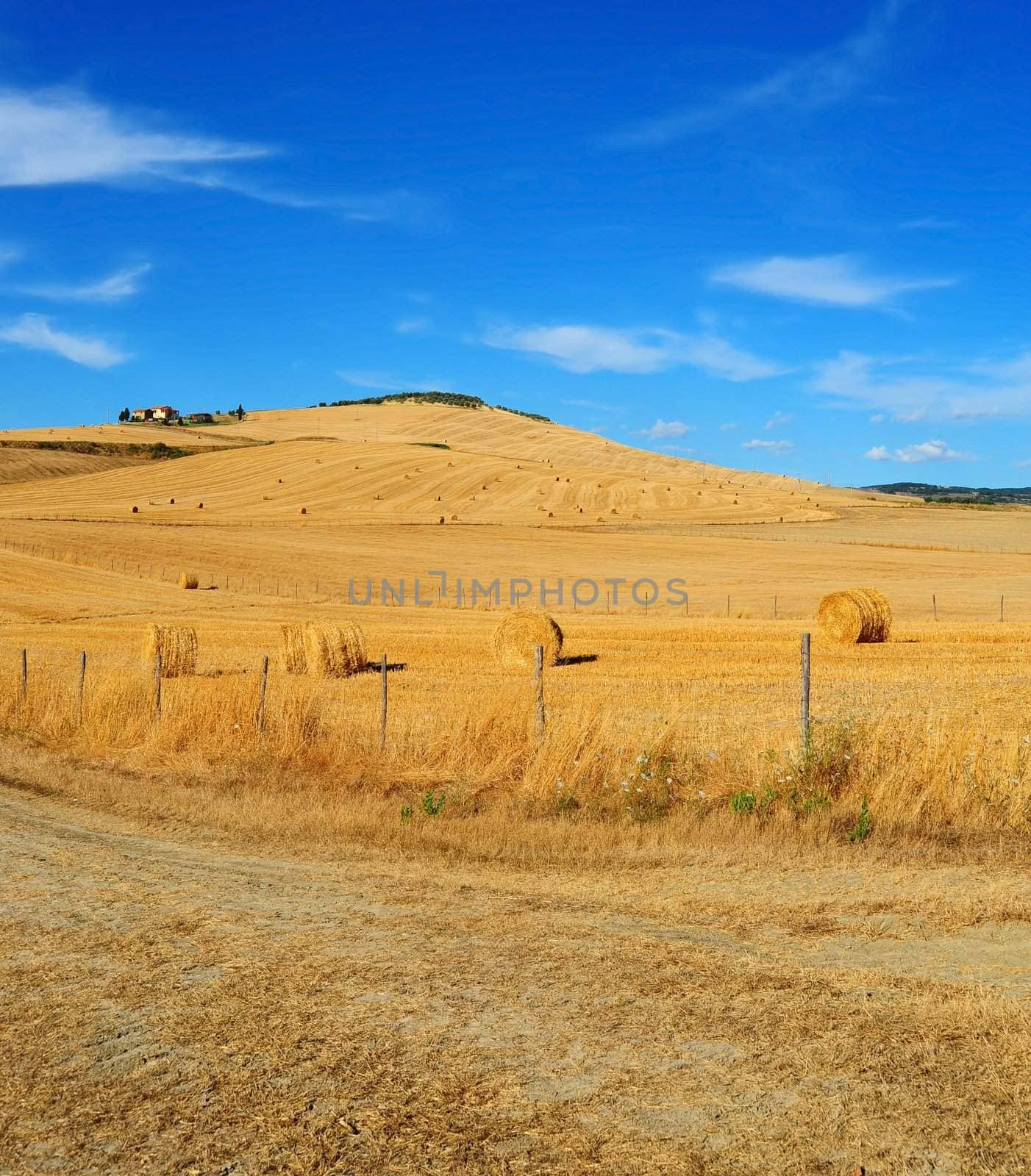 Tuscany Landscape With Many Hay Bales In The Morning