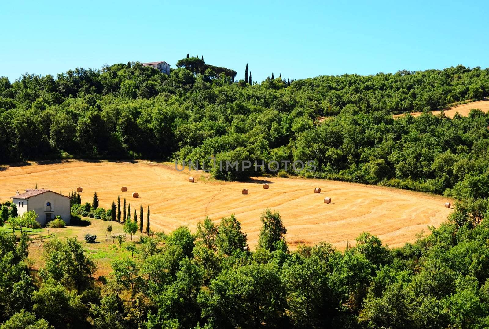 Glade With Many Hay Bales In Tuscany