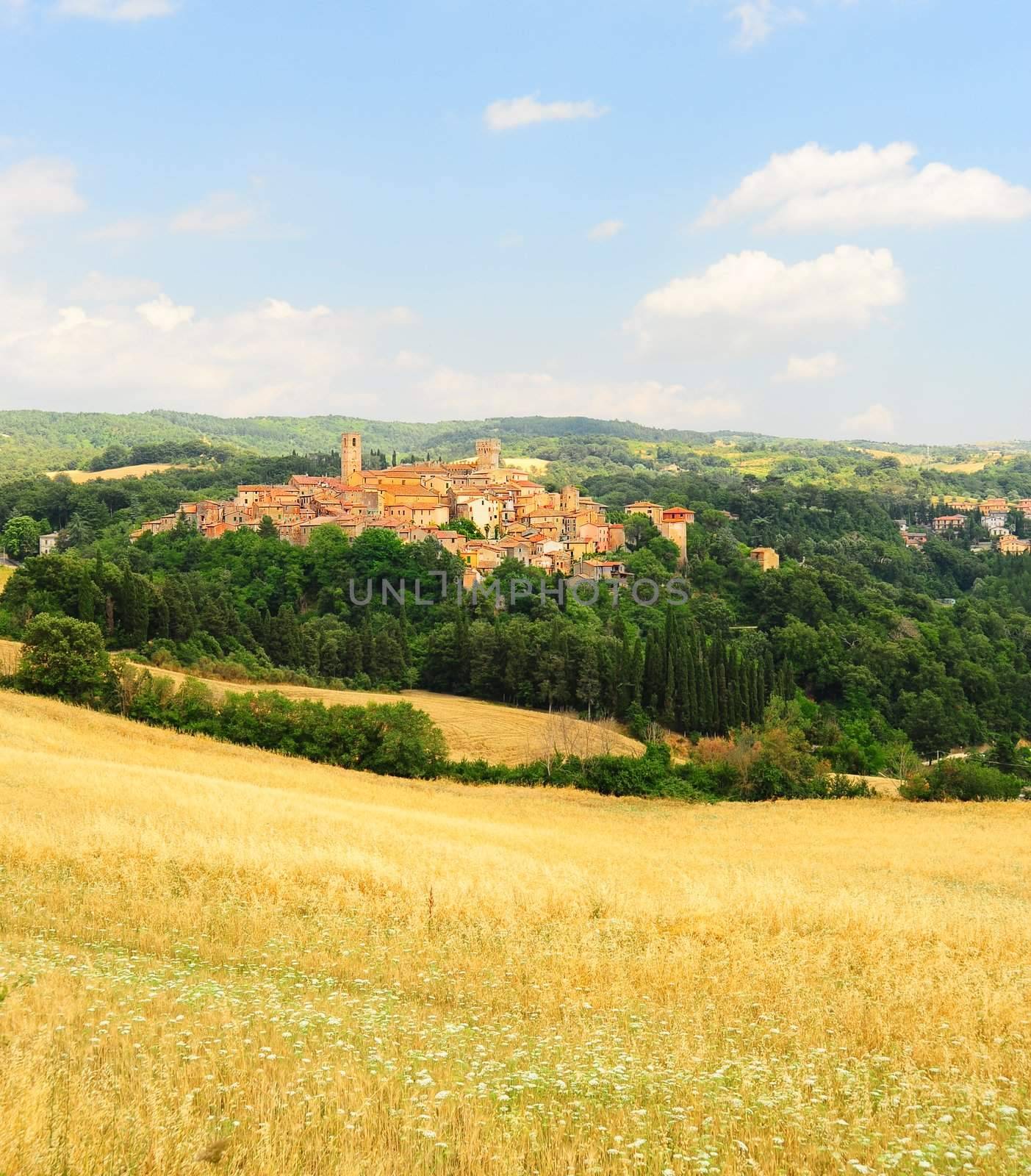 Typical Medieval Tuscan City Surrounded By Forest